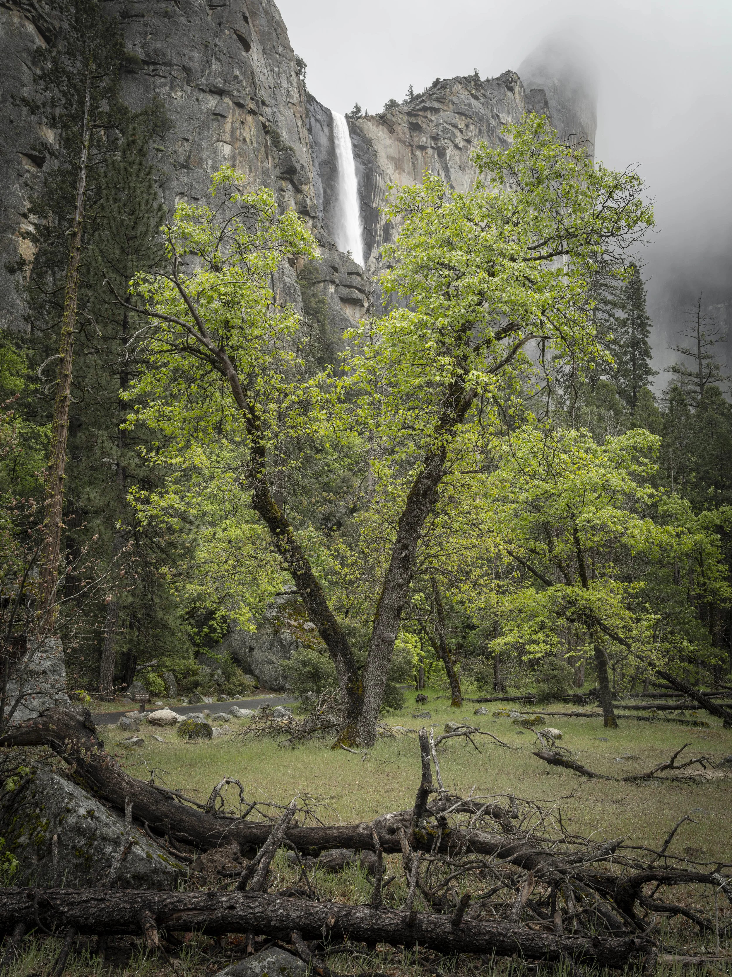 Yosemite-9.jpg