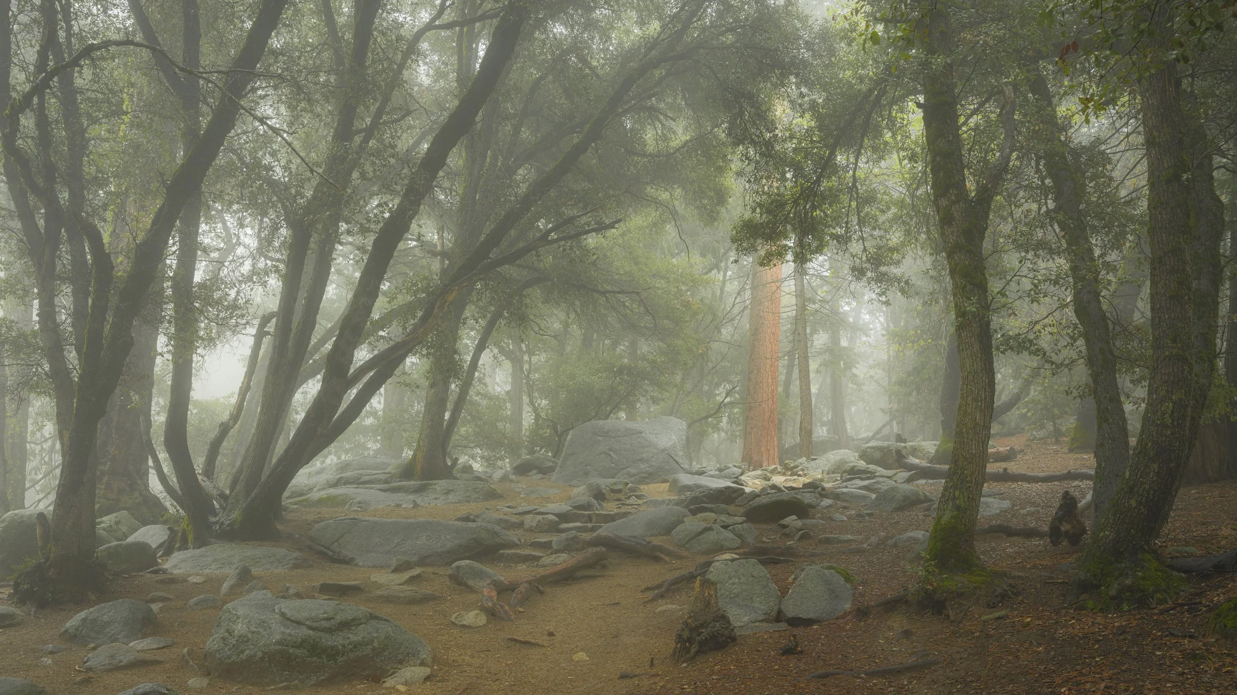Yosemite-8.jpg