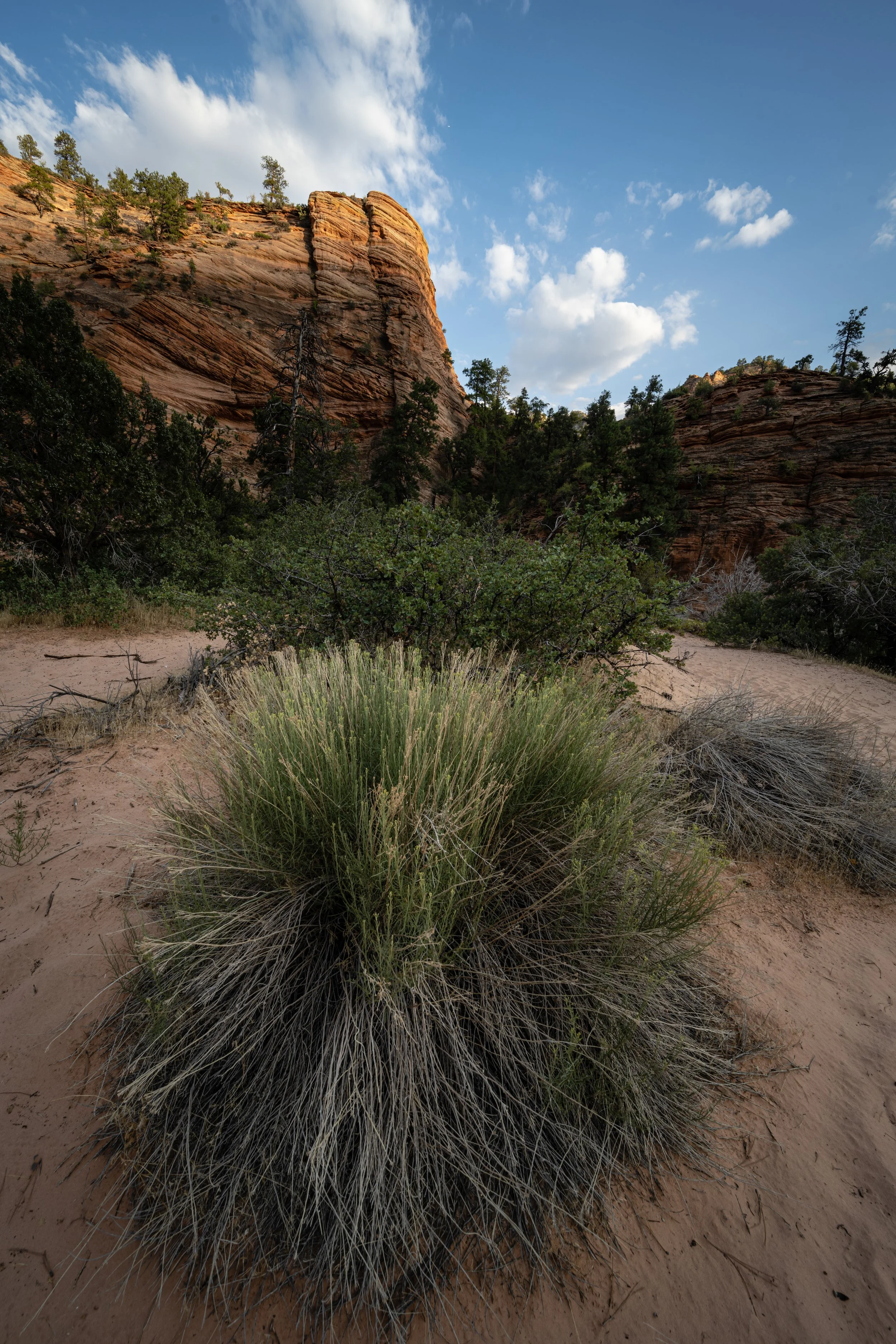 portfolio-59.jpg