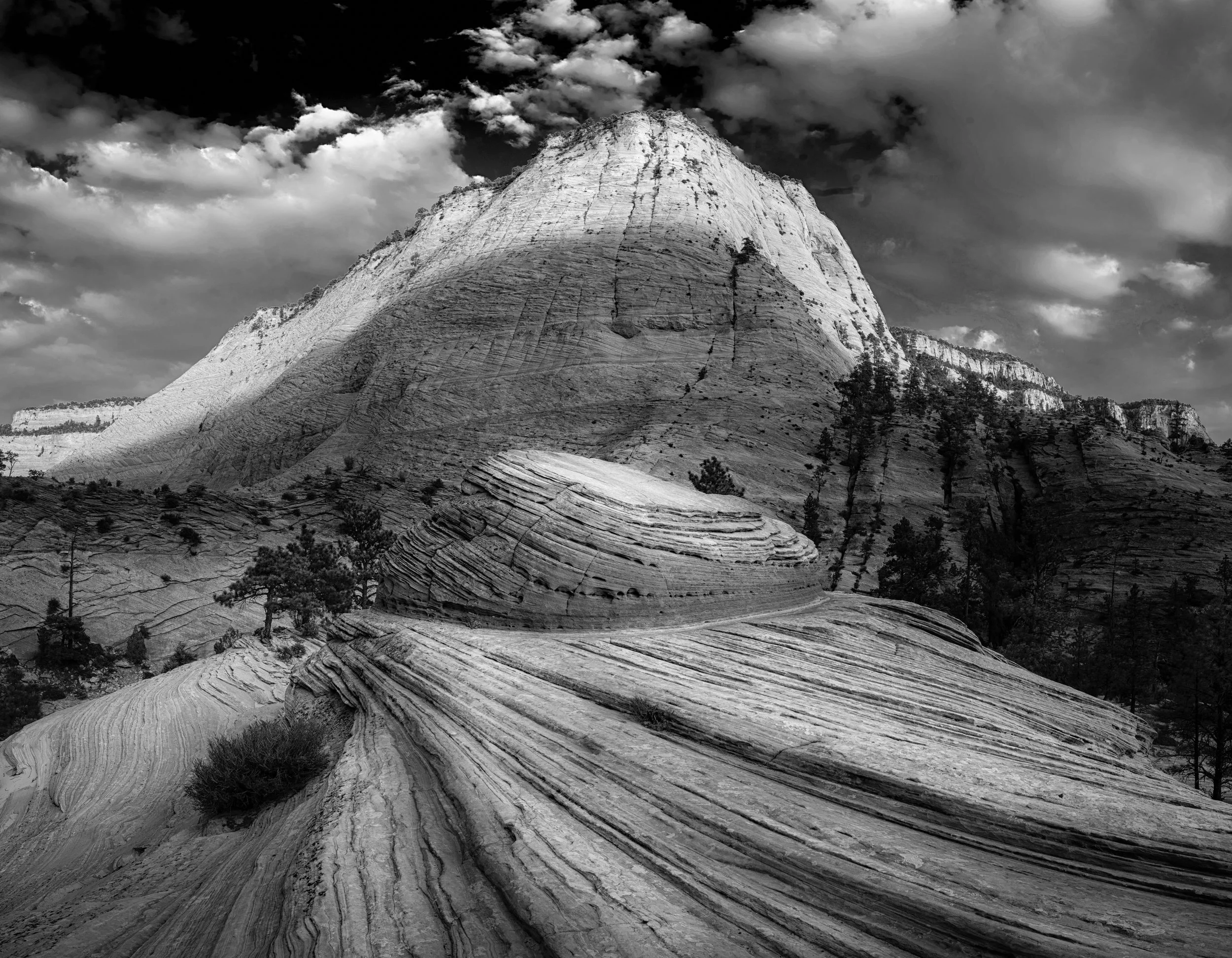 portfolio-61.jpg