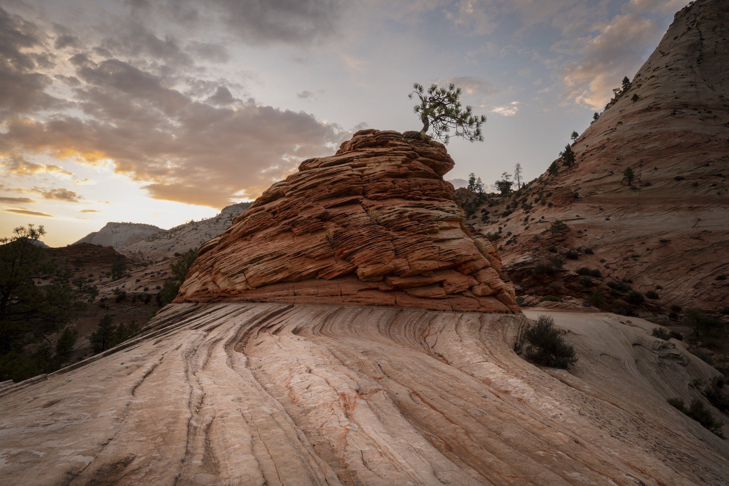 Utah-1.jpg