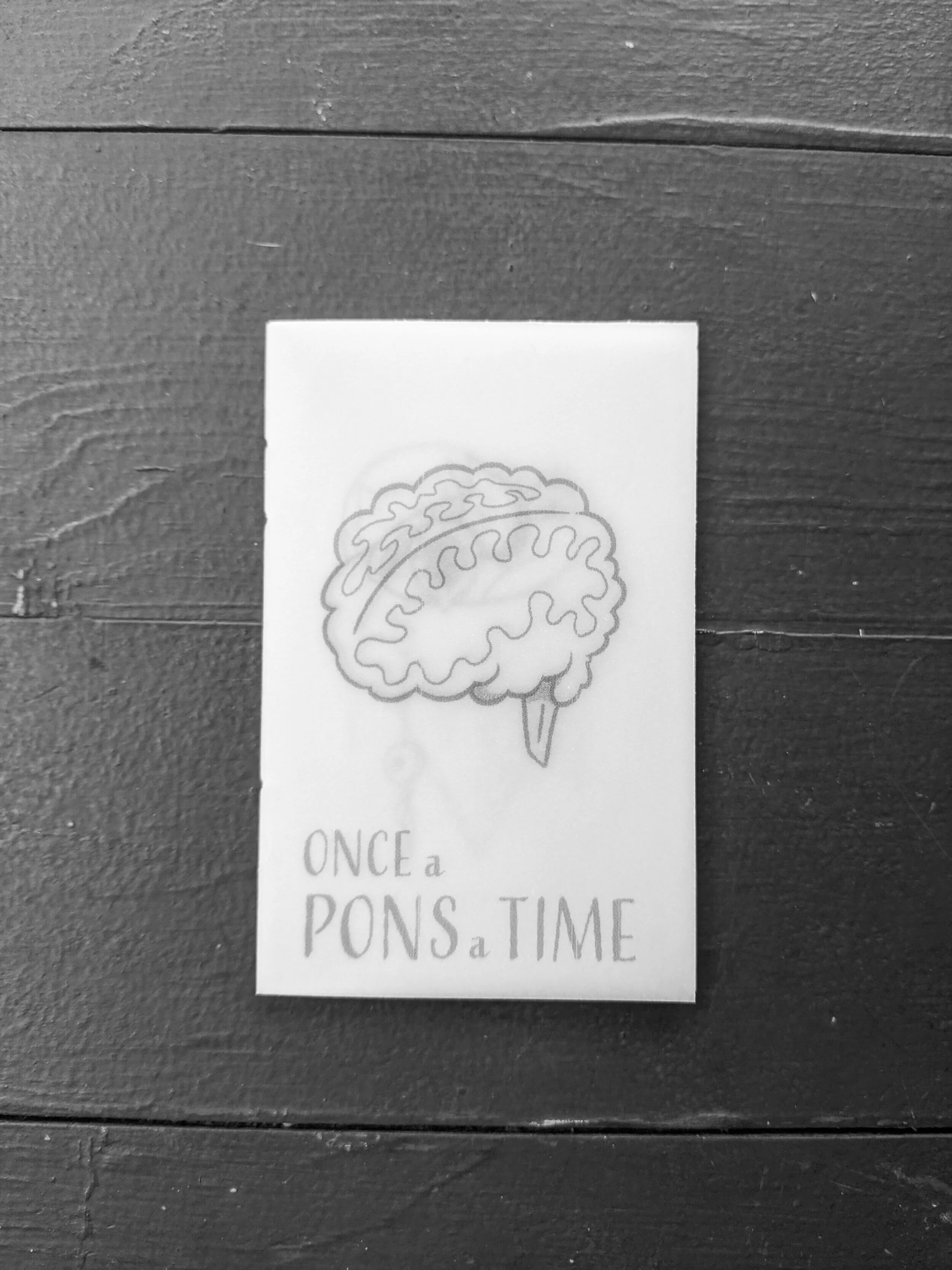 Once A Pons A Time, An Experimental Zine on Transparent Vellam