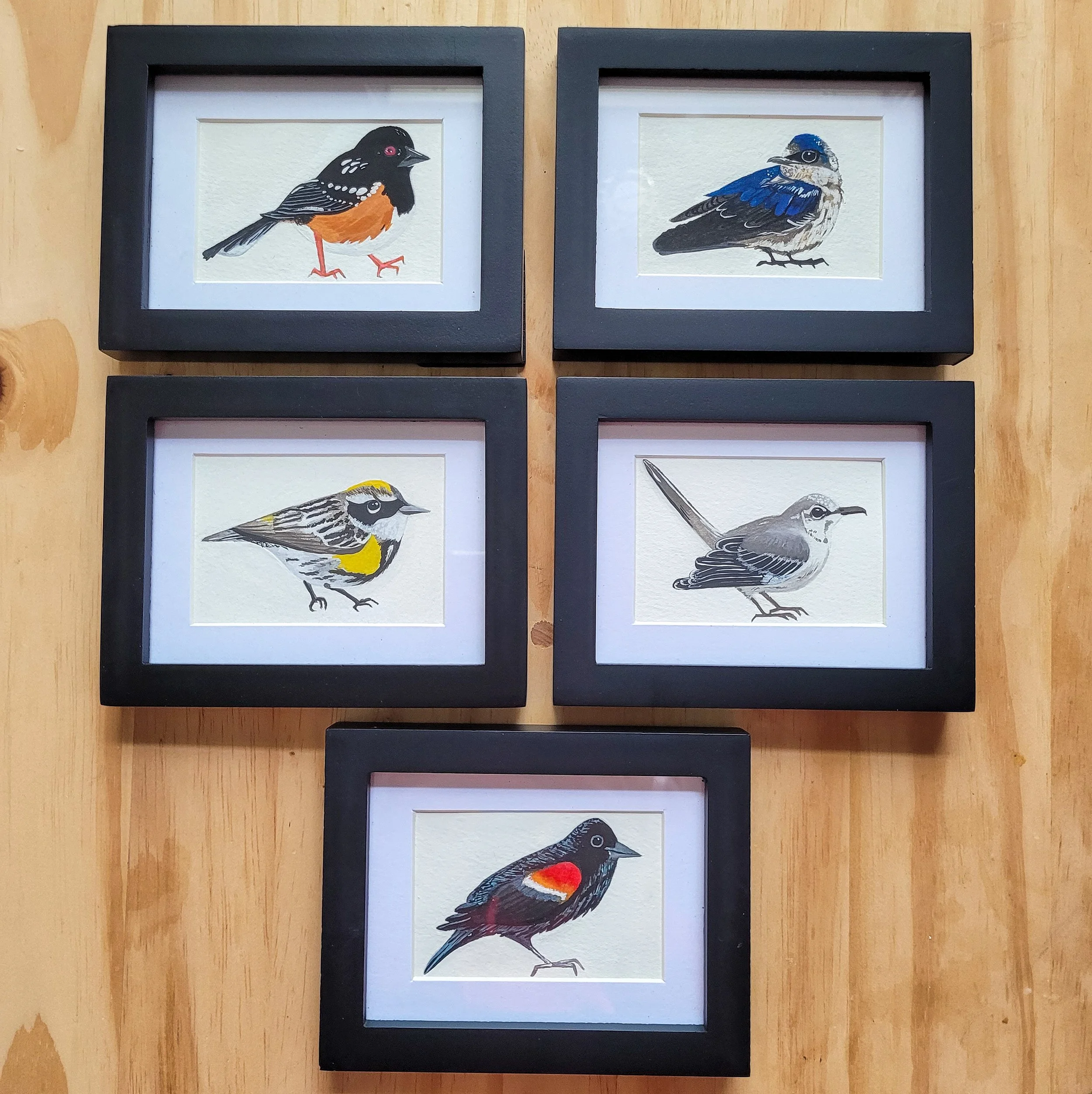 Set of five framed watercolor bird illustrations on a wooden surface. The birds have detailed plumage and vary in colors, including black, blue, yellow, red, and gray.