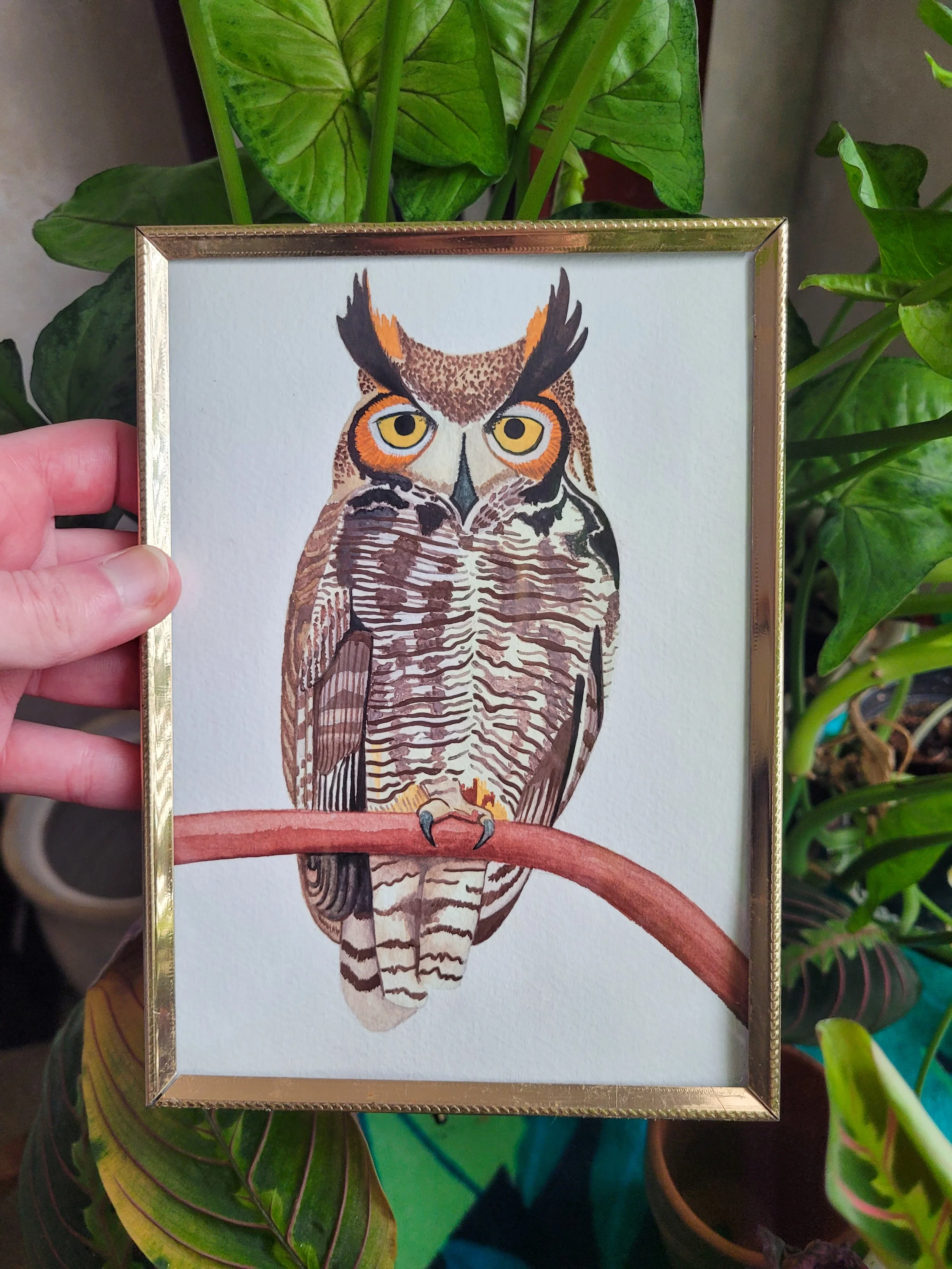A framed watercolor painting of an owl perched on a branch, surrounded by green houseplants.