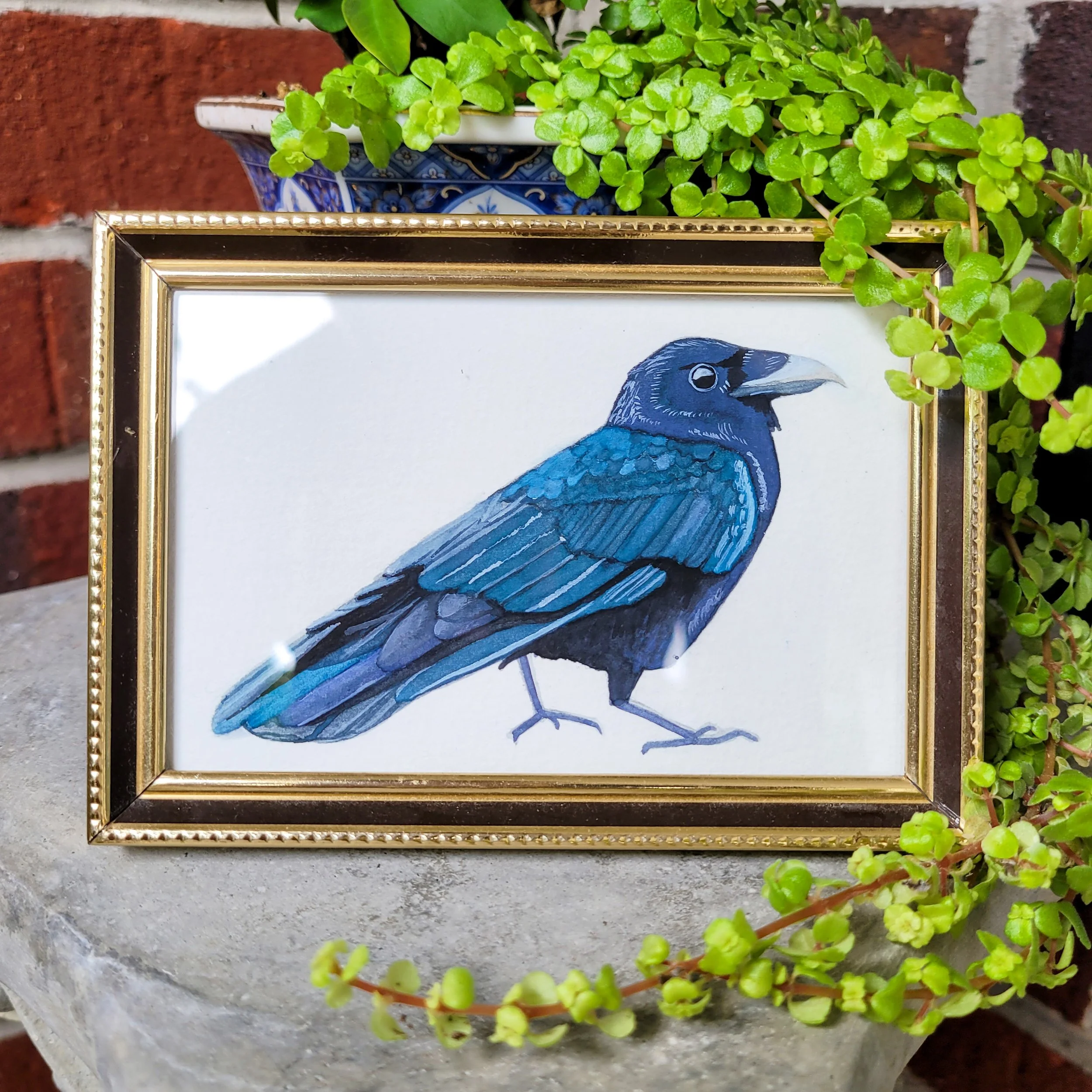 Framed illustration of a blue bird with detailed feathers, placed on a stone surface with green leafy plants around it.