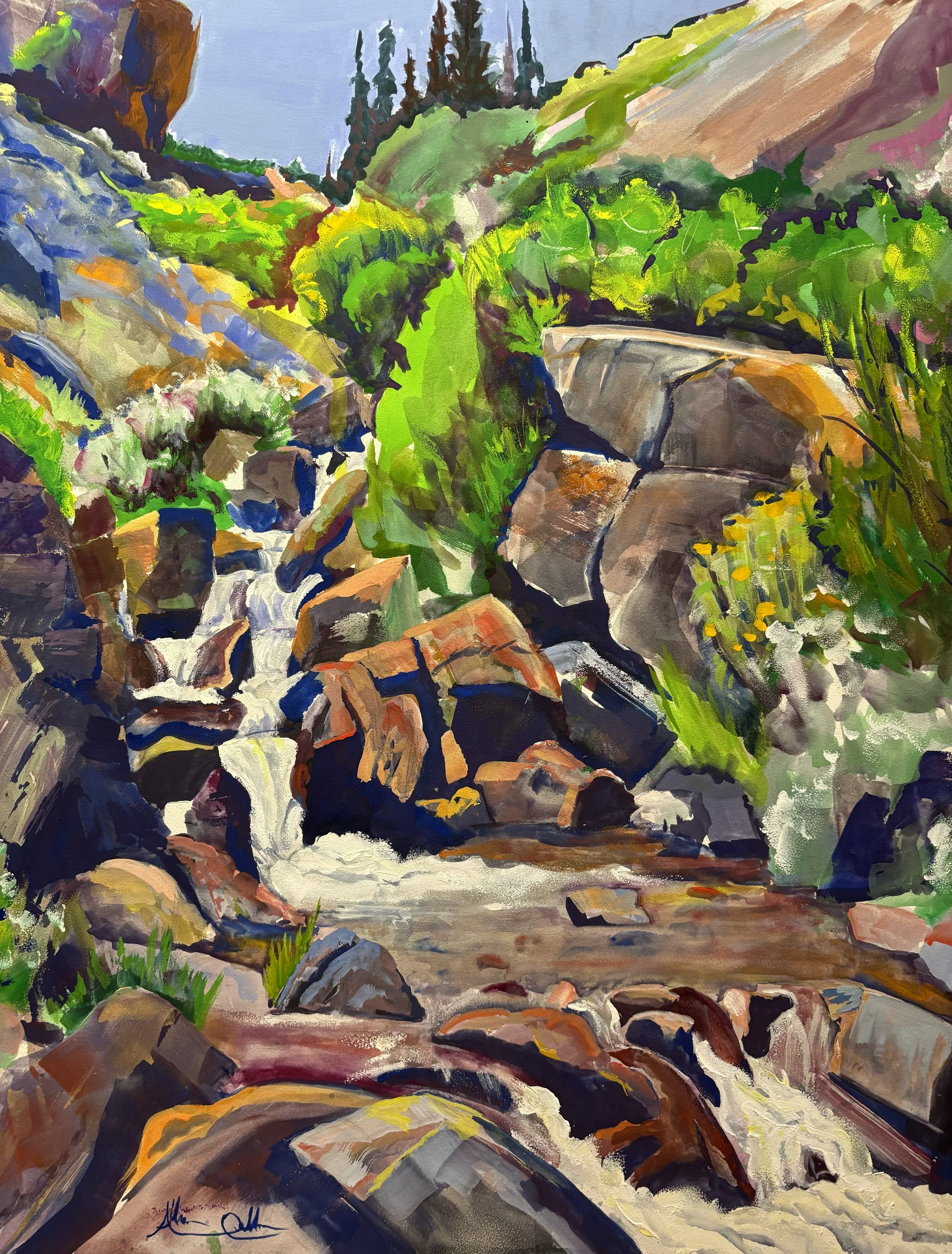 High Mountain Falls at American Basin. $450