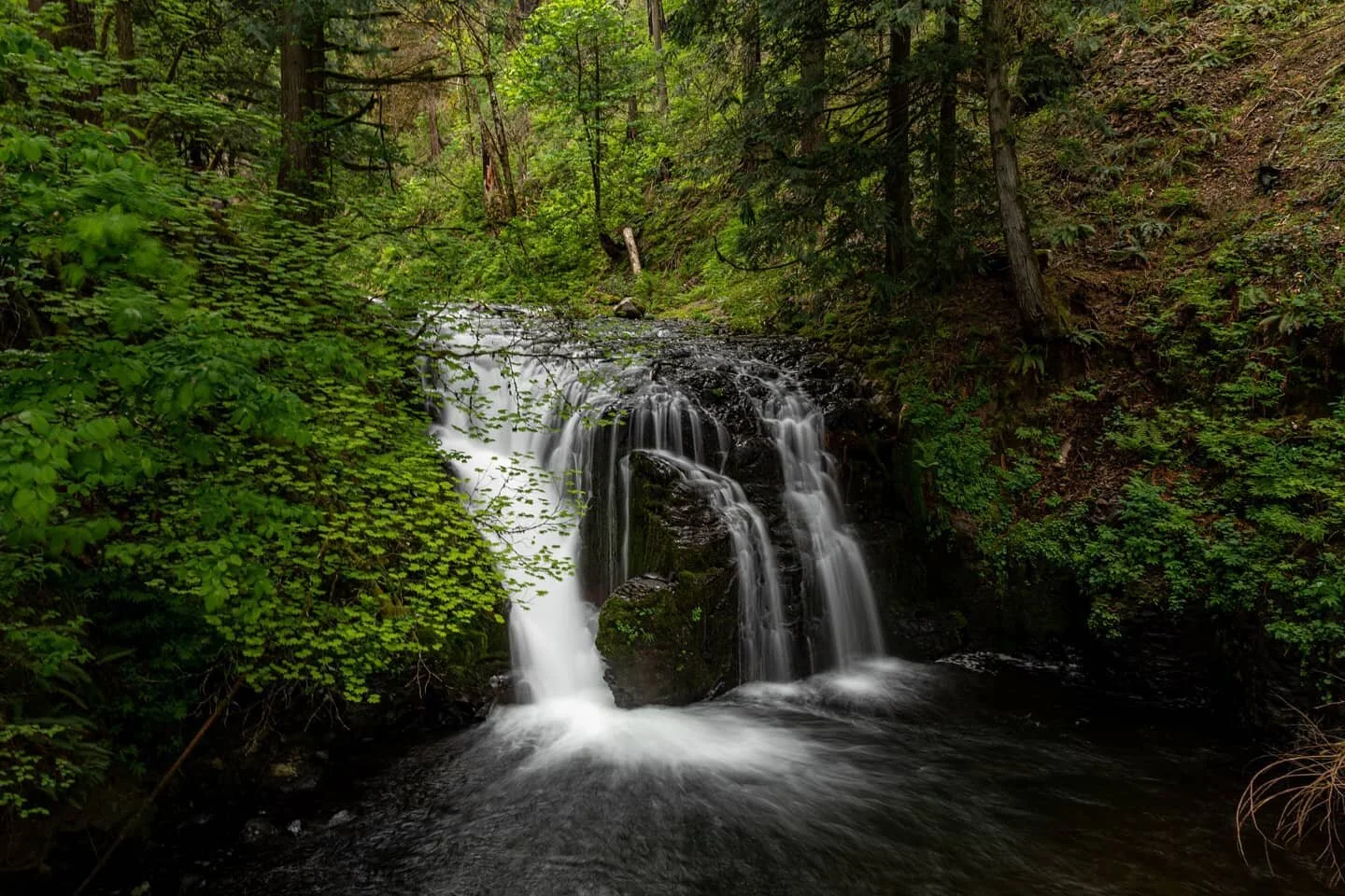 Believe it or not this is also Multnomah Falls! We did the hike up to the top of the falls this past weekend. When you reach the top you can look over the edge of the very top of those huge falls (uhh...terrifying by the way 😬) but there's also this