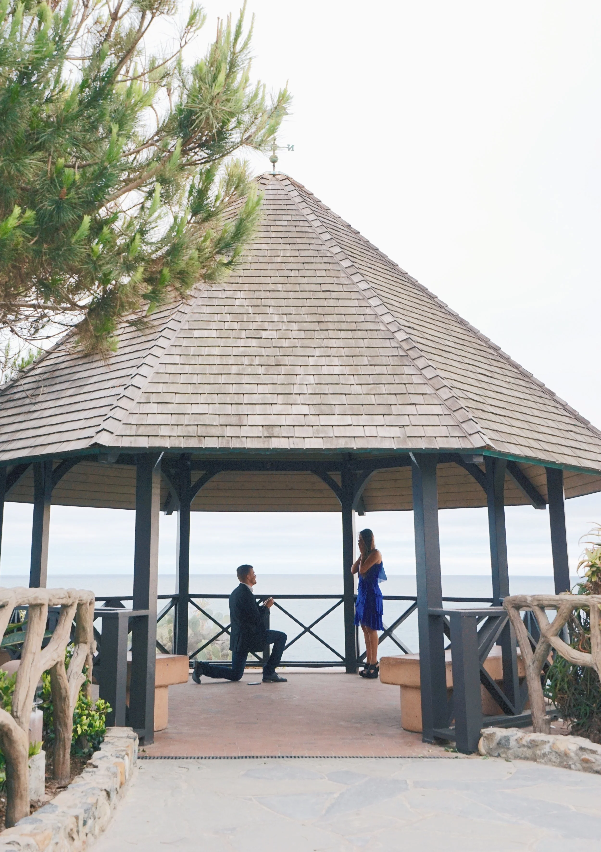 The Proposal.