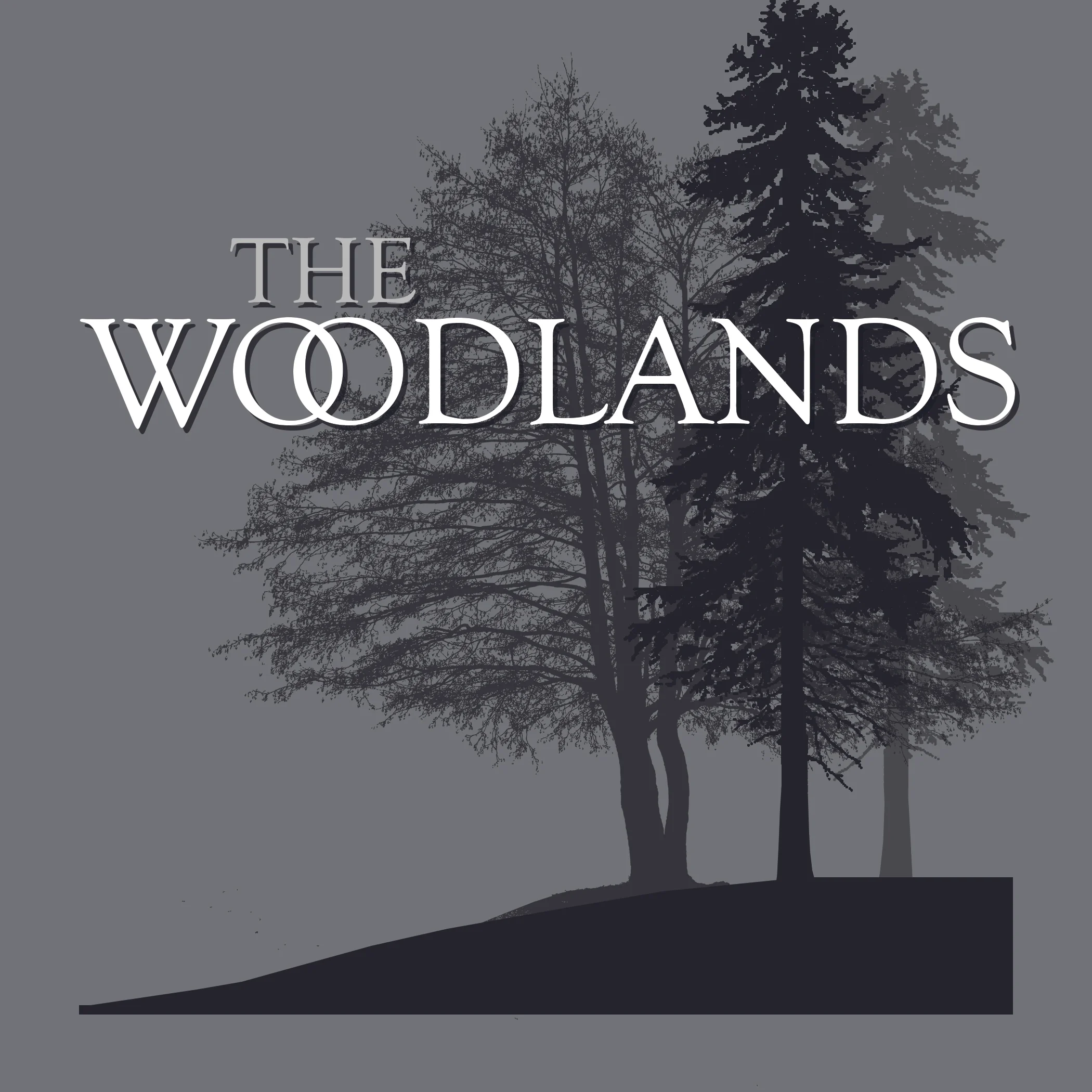 TheWoodlandsLight.jpg
