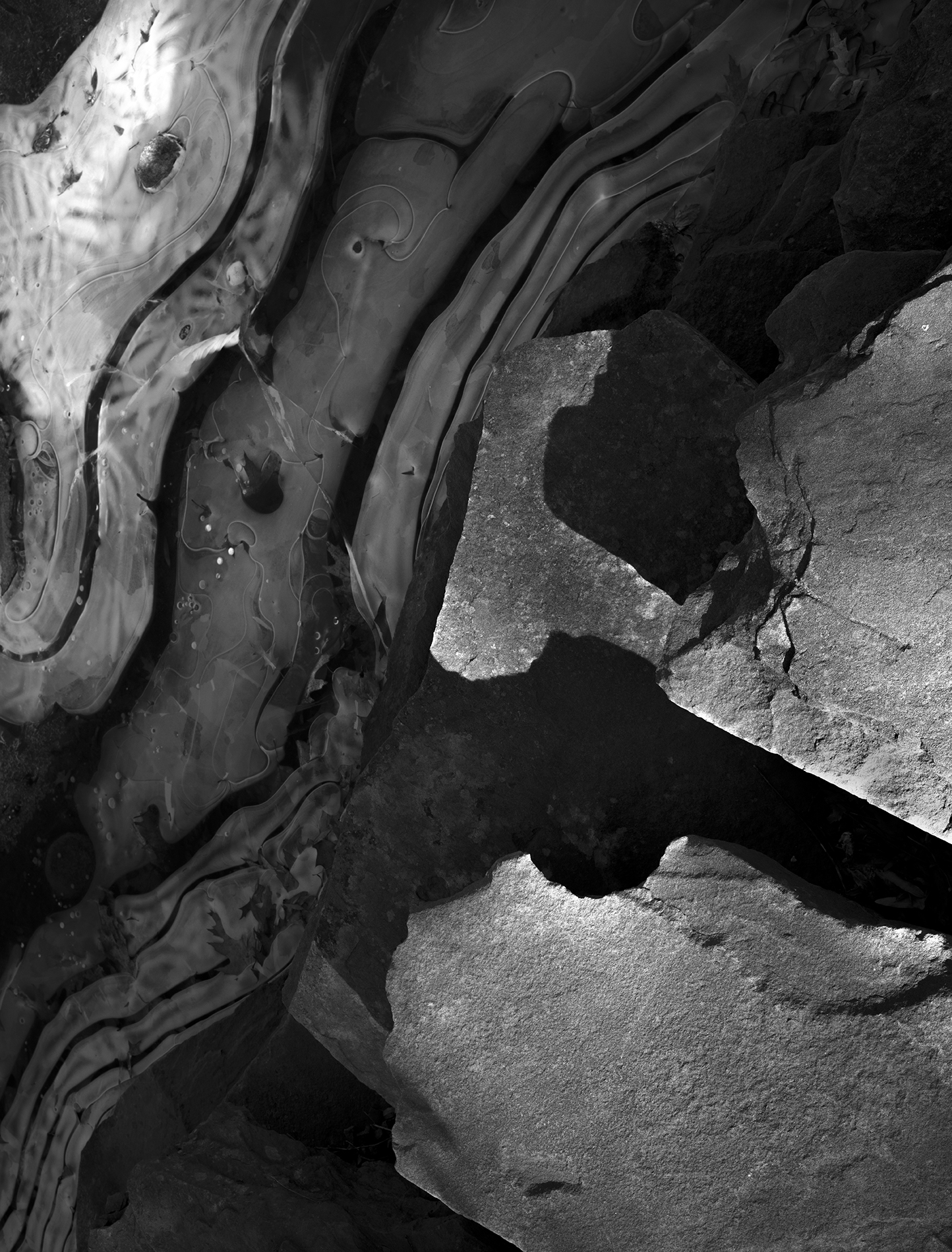 silence and sound_22.jpg