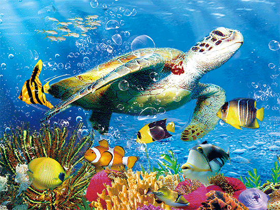 MARINE LIFE 30 X 40CM