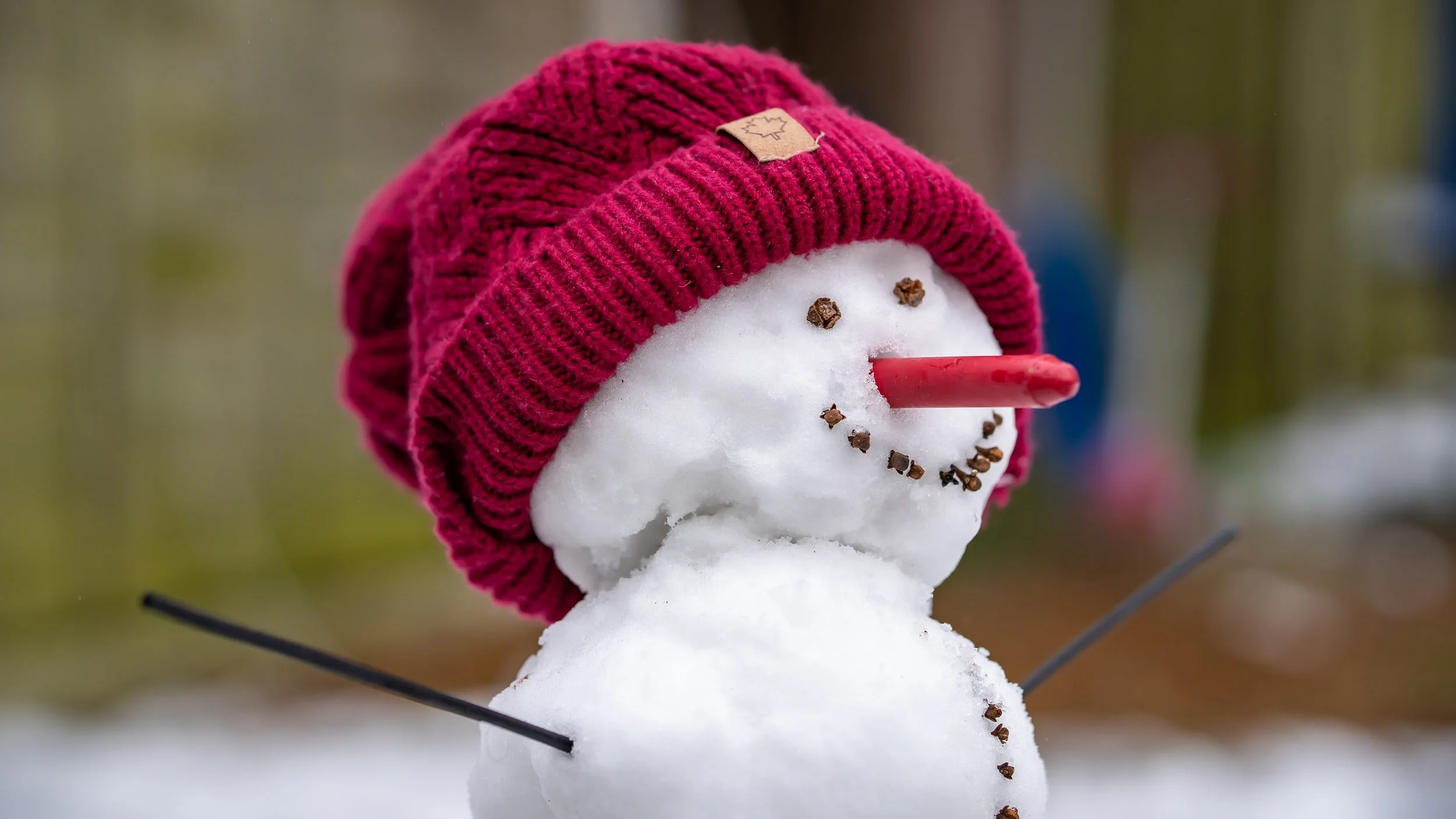 Do You Want to Build a Snowman: 10 Activities for Your Next Snow Day