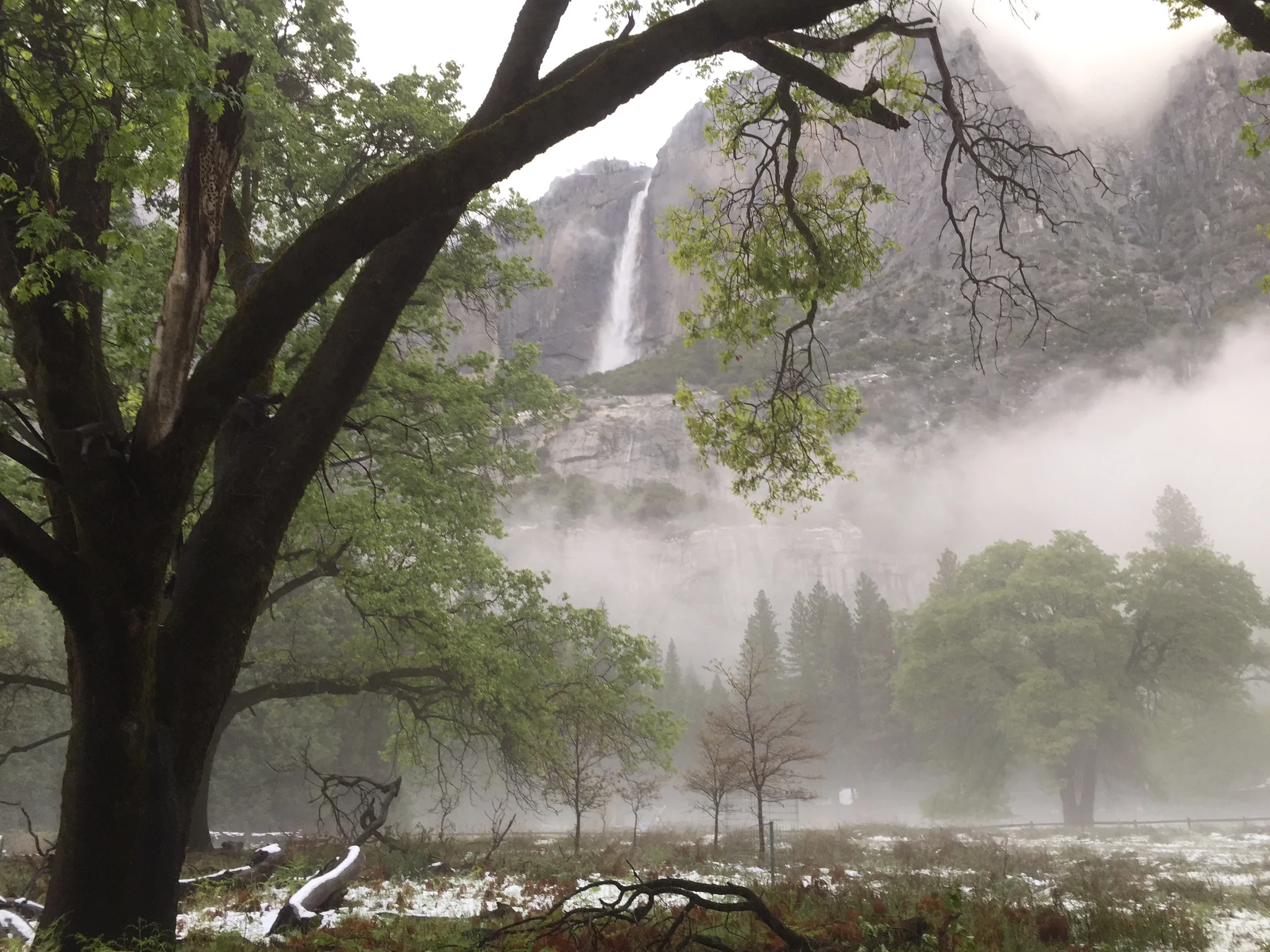 Yosemite falls as the night comes