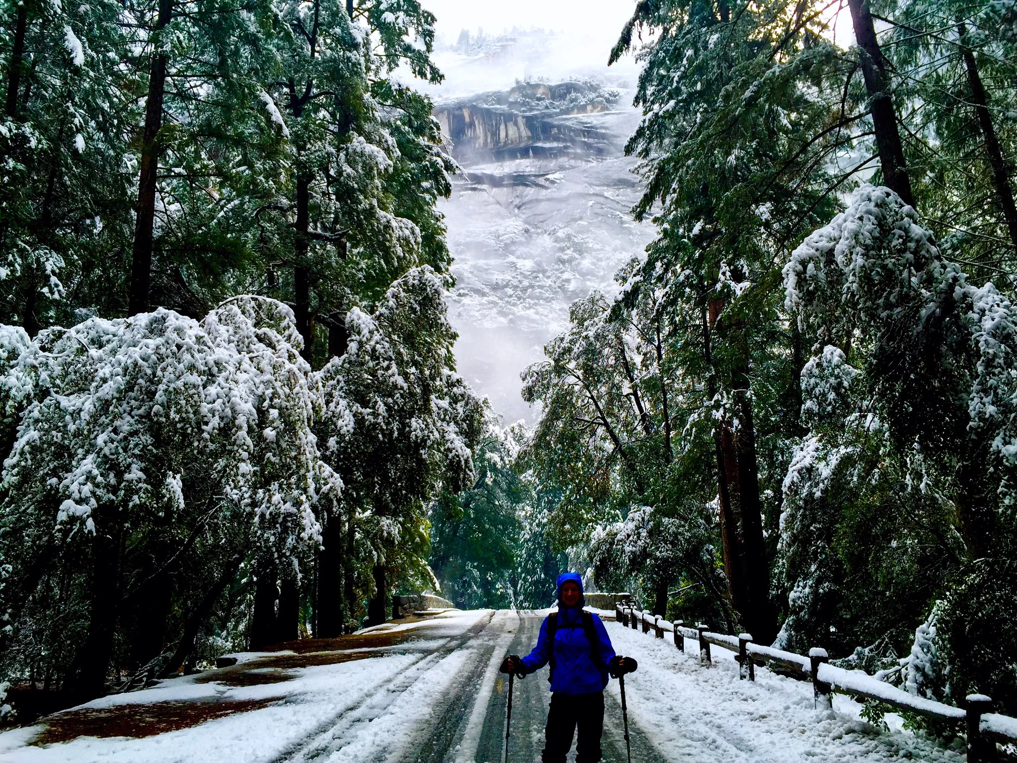 Overnight snow fell hard