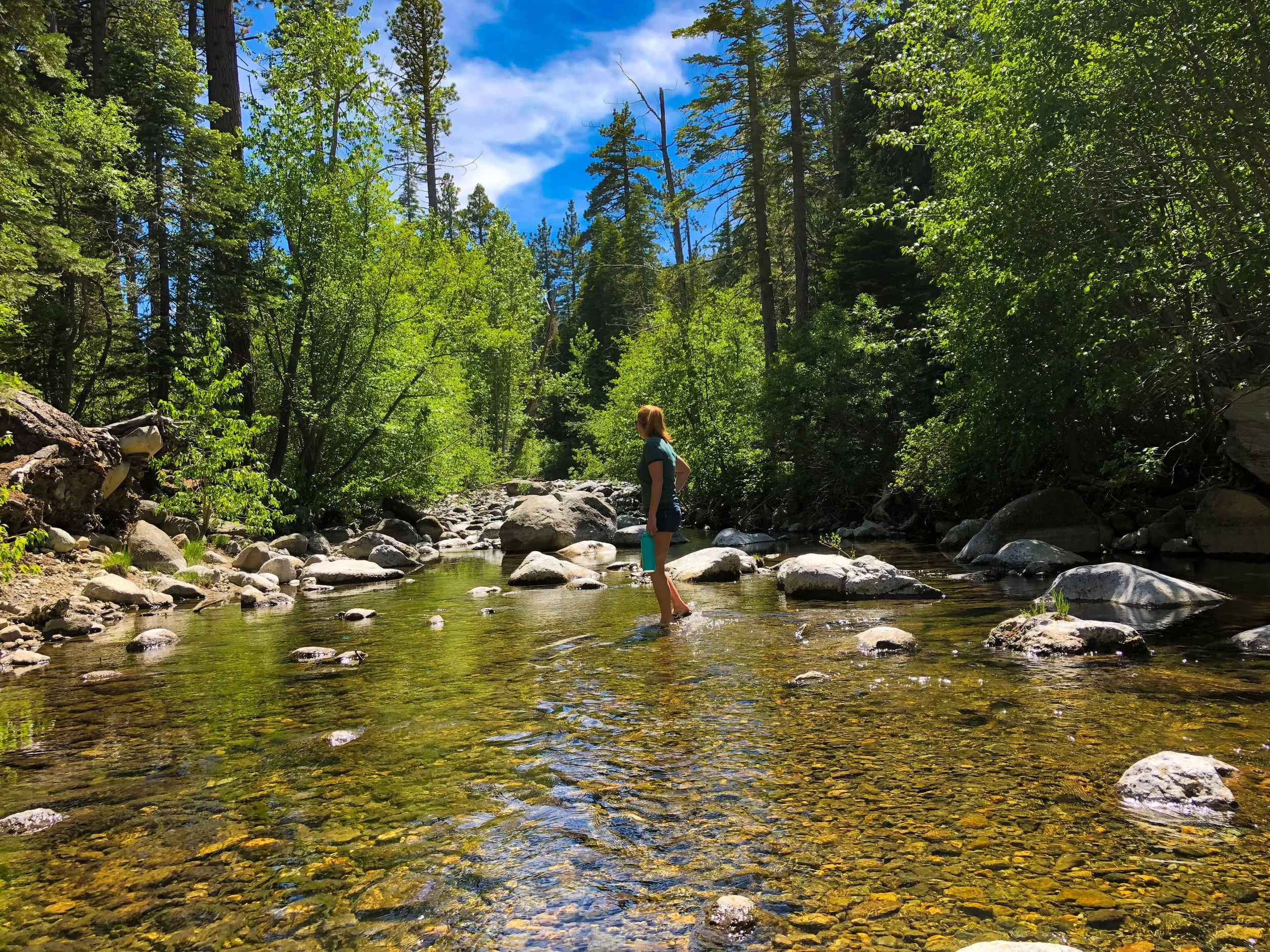 The stream behind camp 52