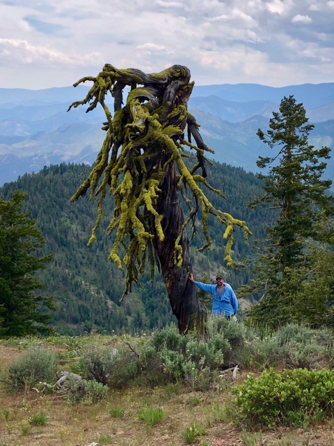Winthrop, Washington