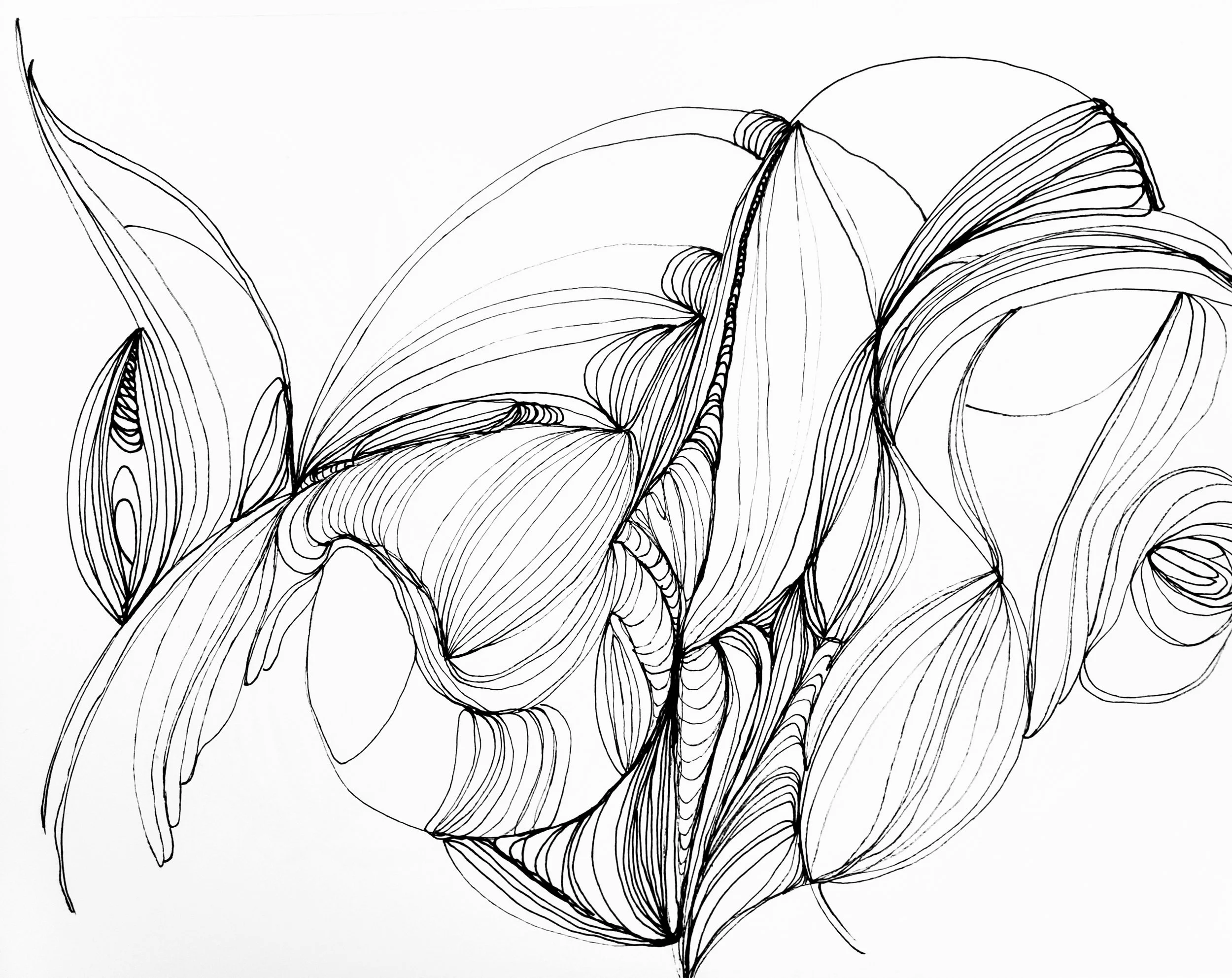 untitled 2019 11 x 14 in. marker on paper