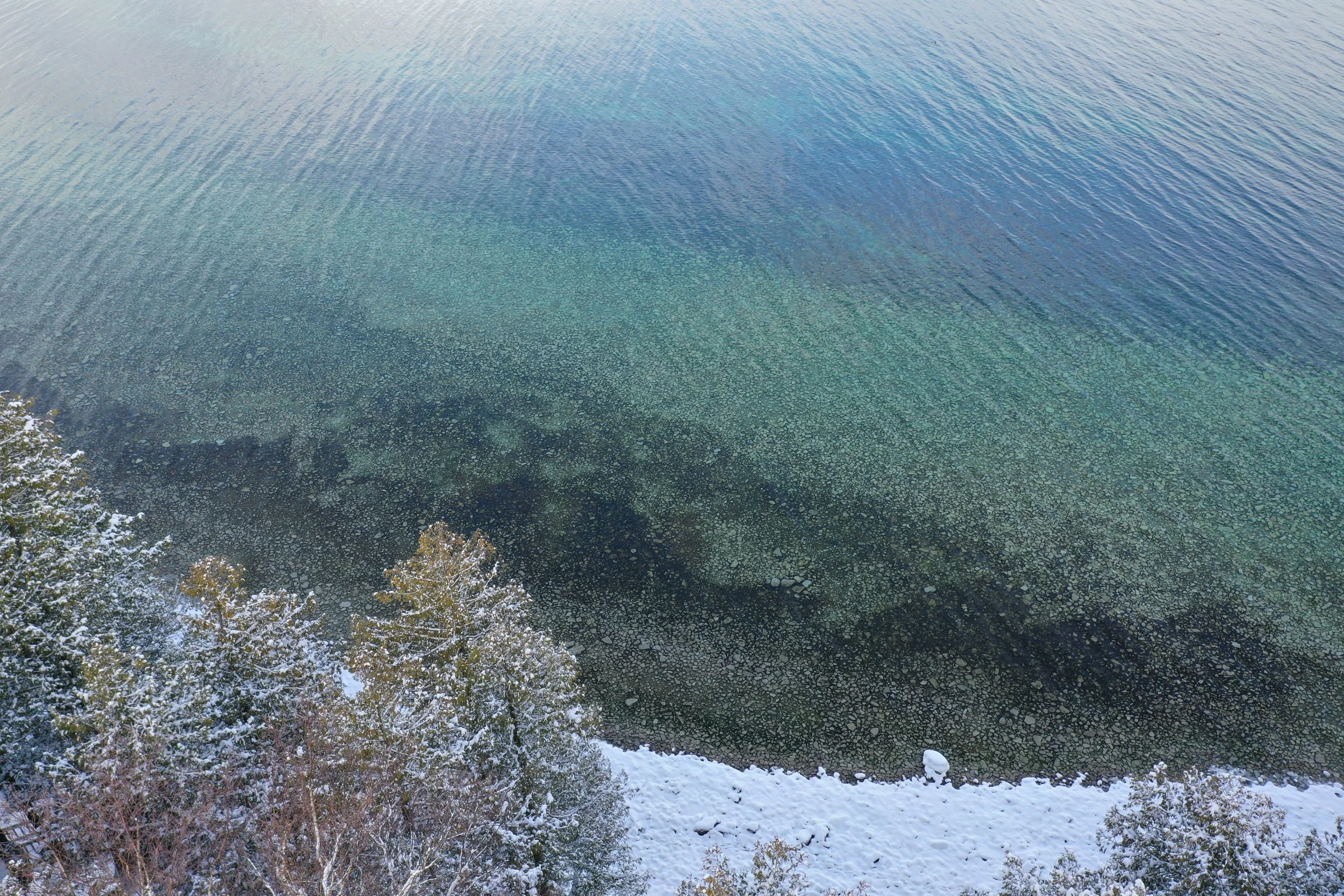 Aerial view of a snow-covered shoreline with trees and a large body of water, showing clear water near the shore and darker deeper water further out.