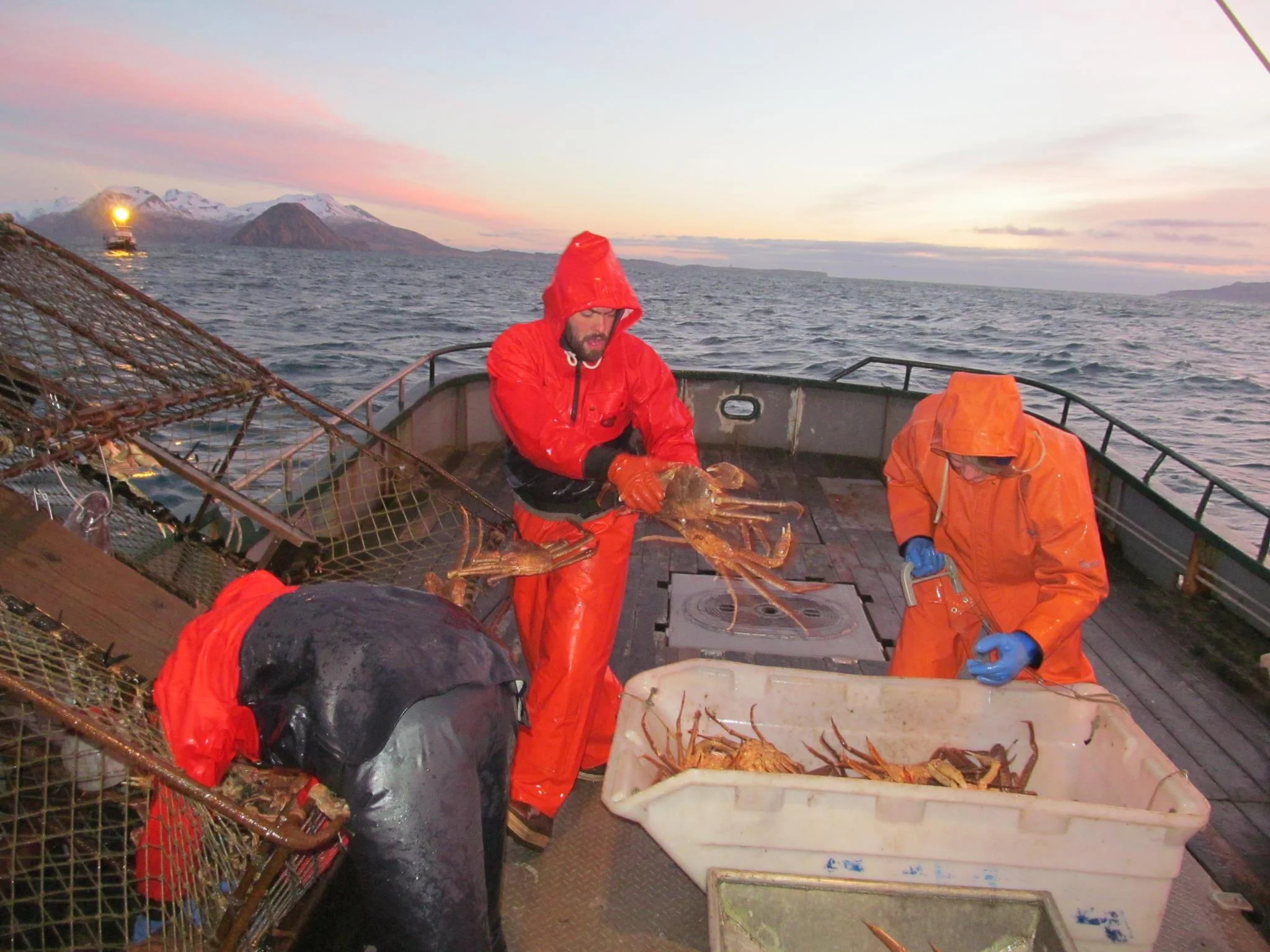 Anna+D+Tanner+Crab+2013.jpg