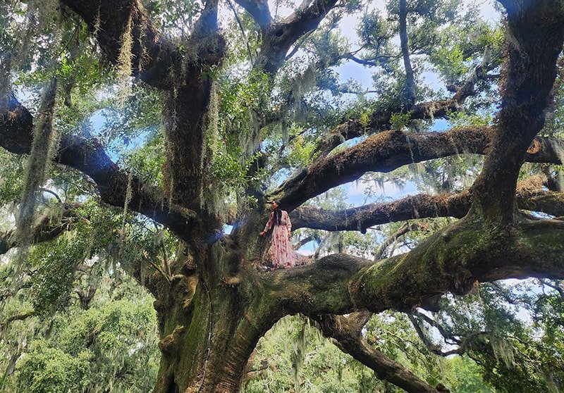 Woman standing in a tree
