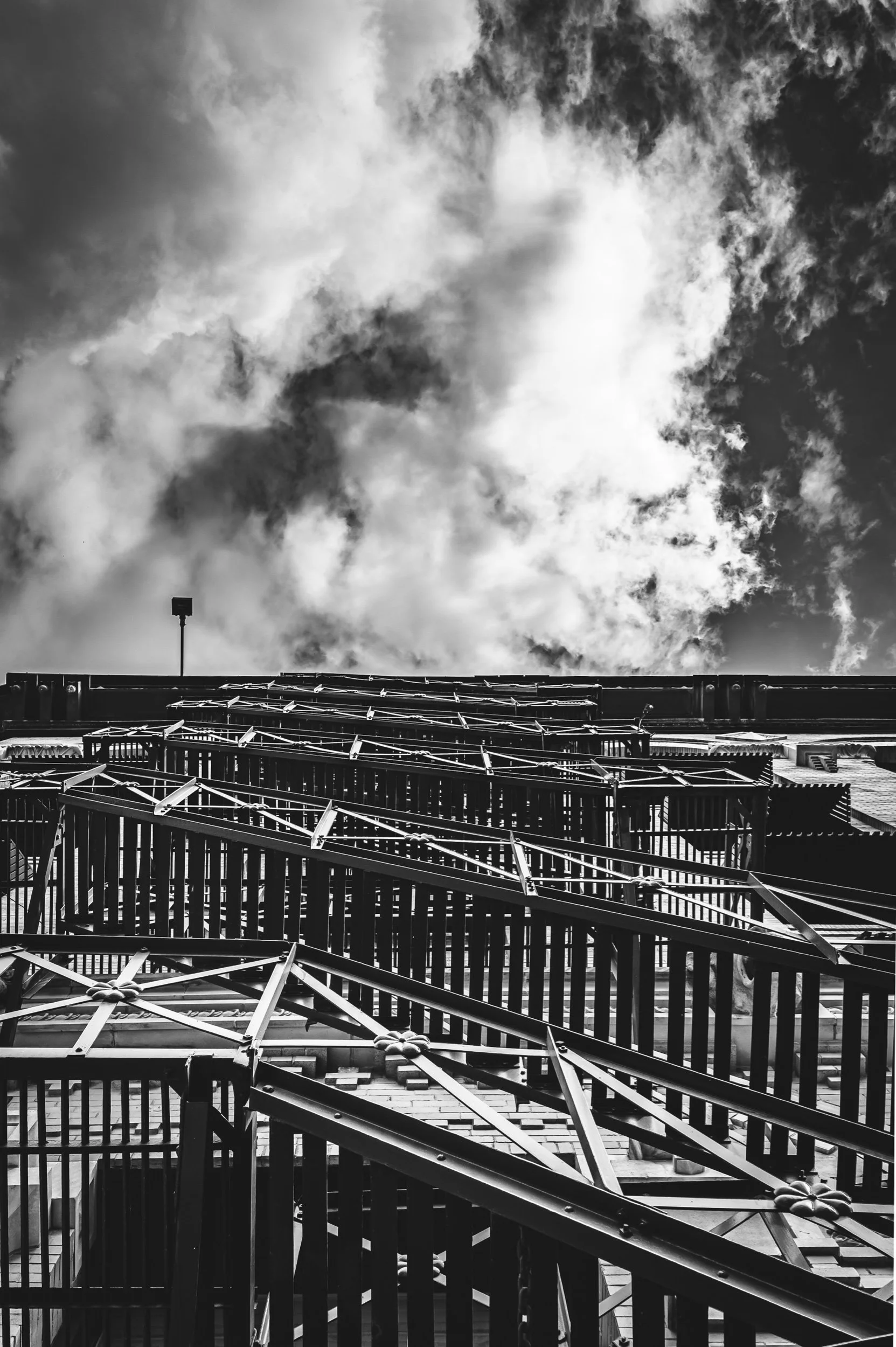 LookingUp-FireEscape-8x12.jpeg