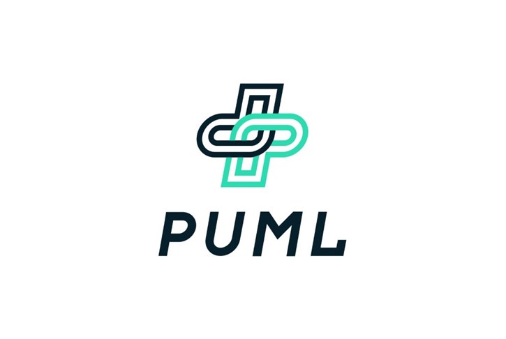 Pummel website logo.jpg