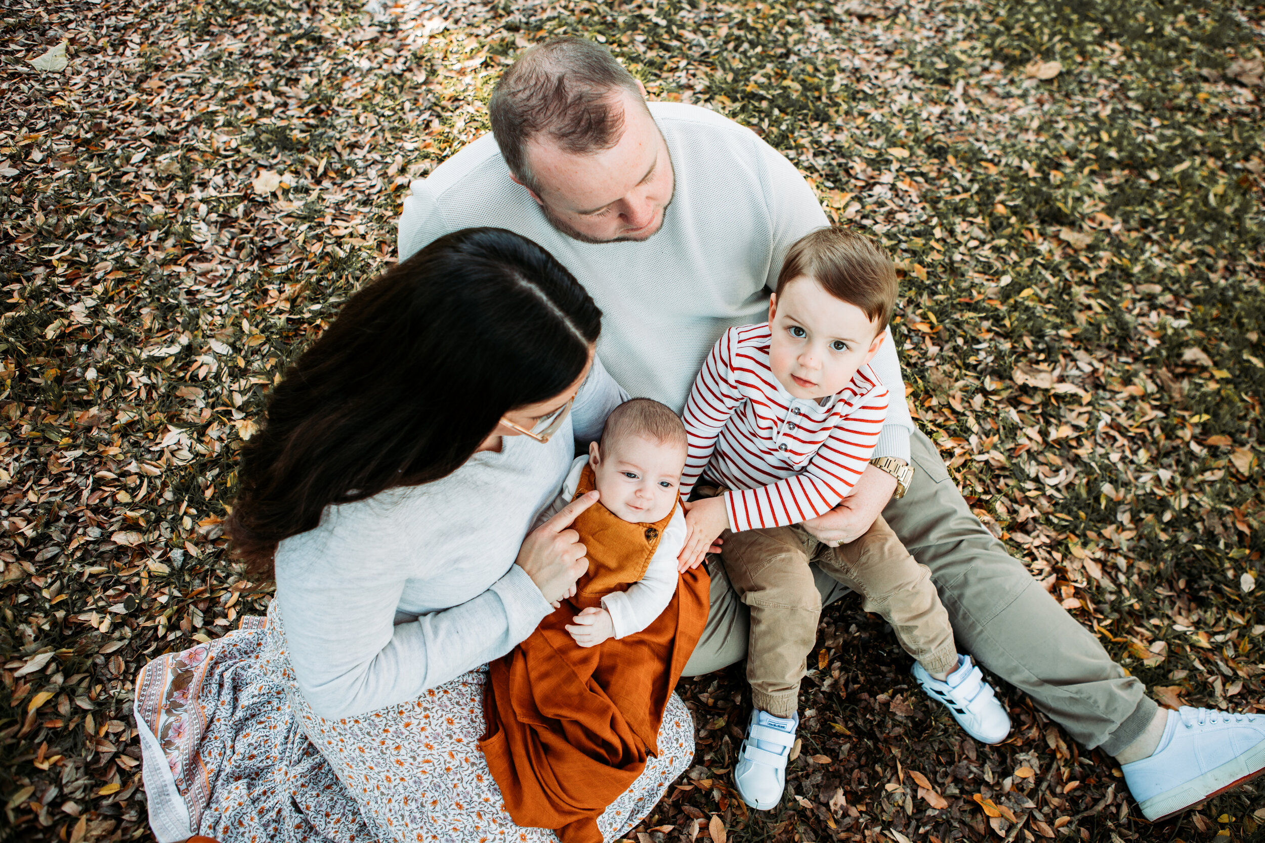 Family - Collection 1