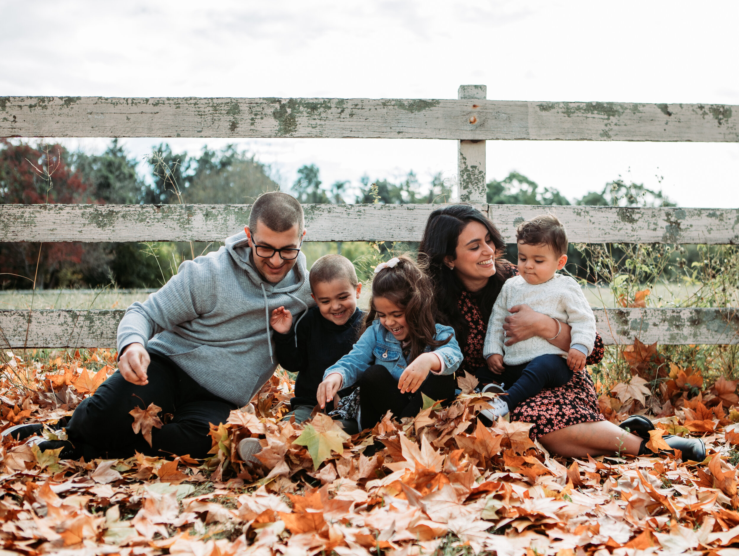 Family - Collection 2