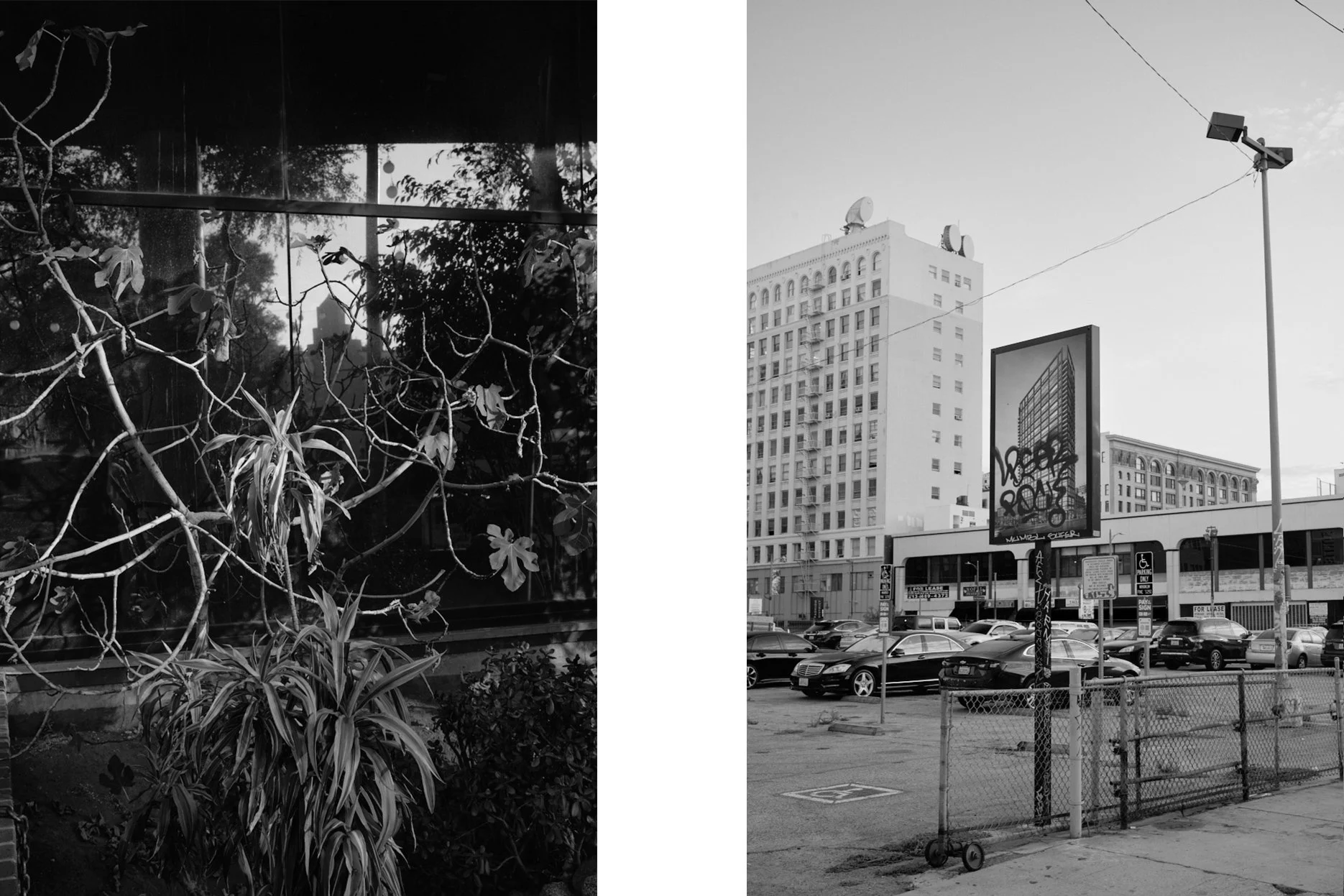 LA_3194.jpg