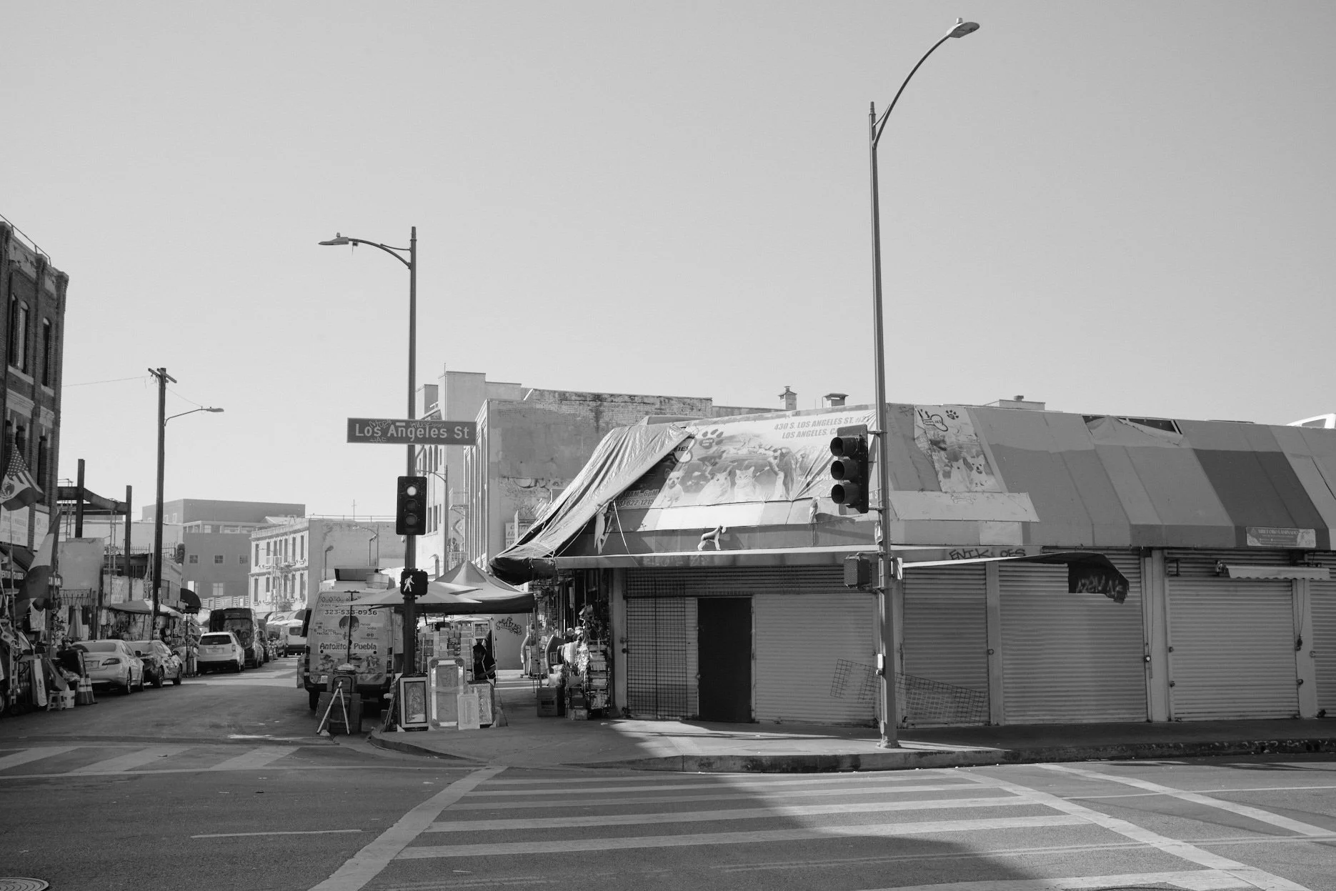 DSC_4162.jpg