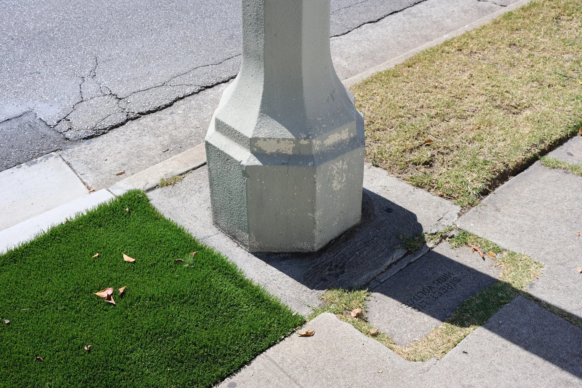 DSC_2507.jpg