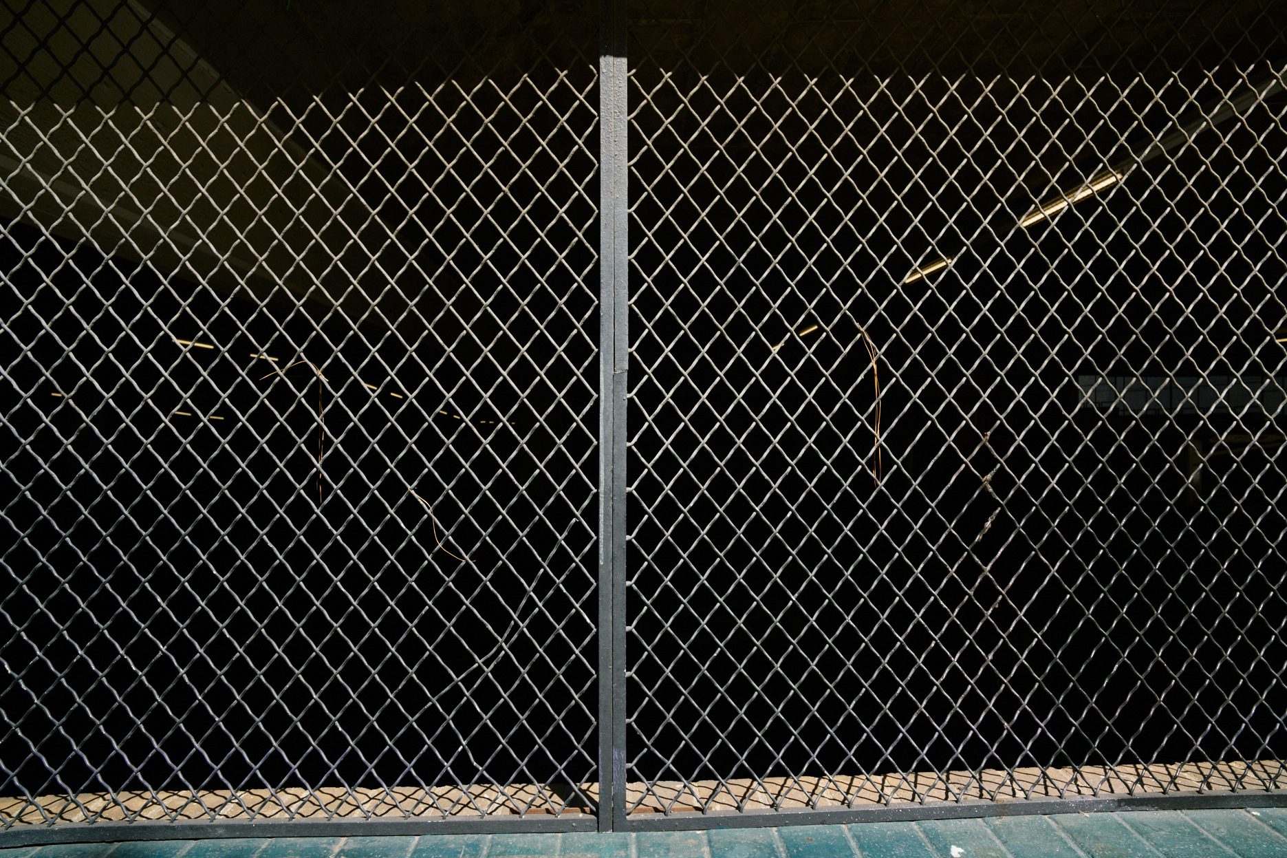 DSC_3080.png