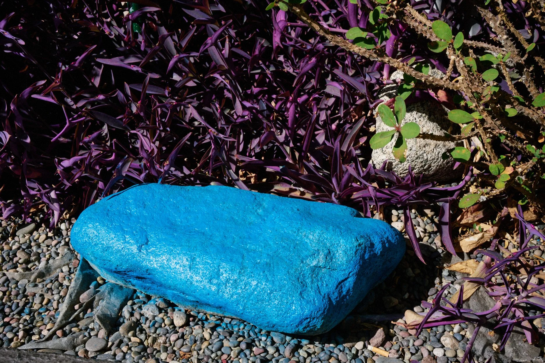 DSC_3114.jpg