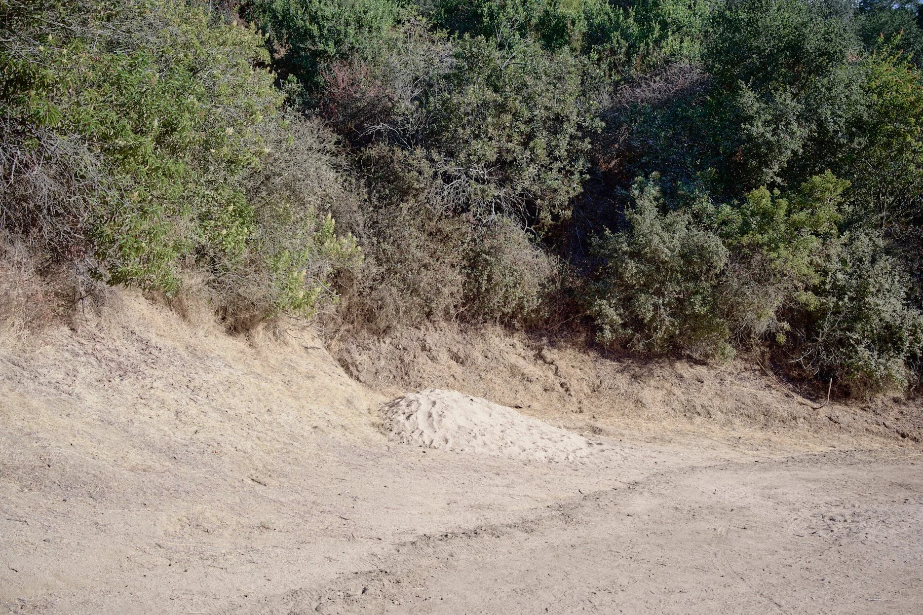 DSC_2700.jpg