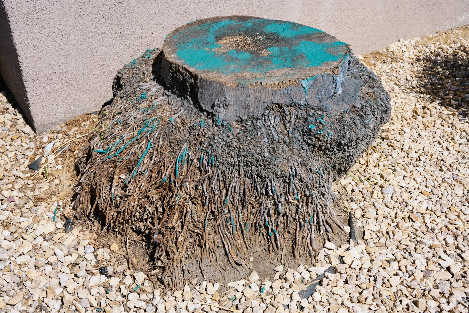 DSC_2467.jpg