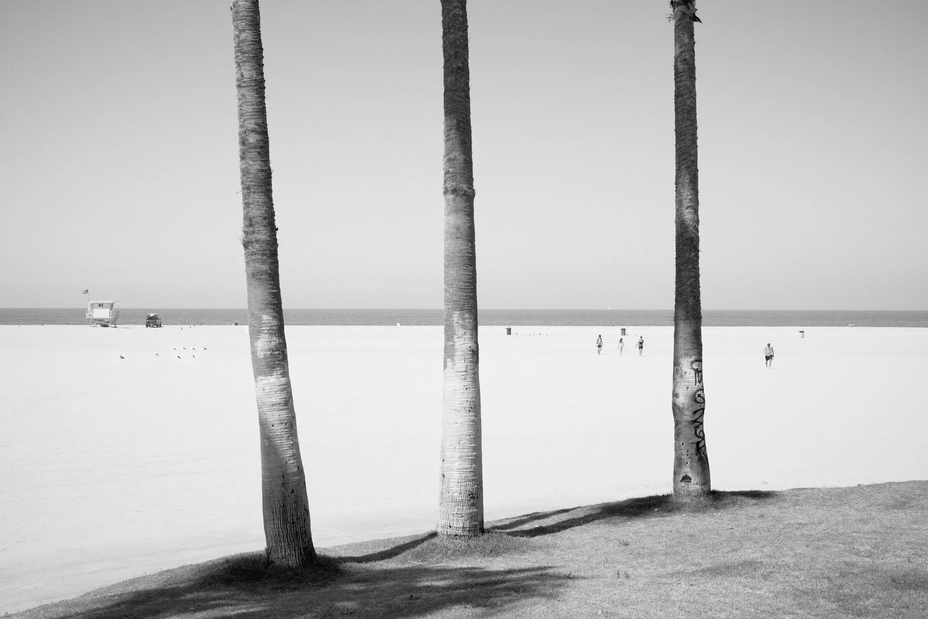 DSC_2070_1.jpg
