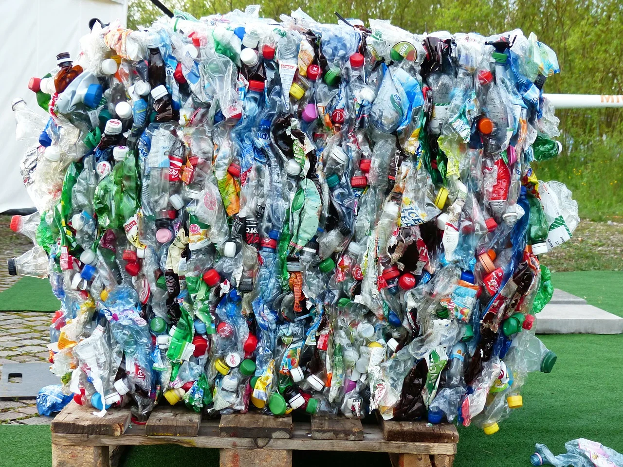 plastic-bottles.jpg