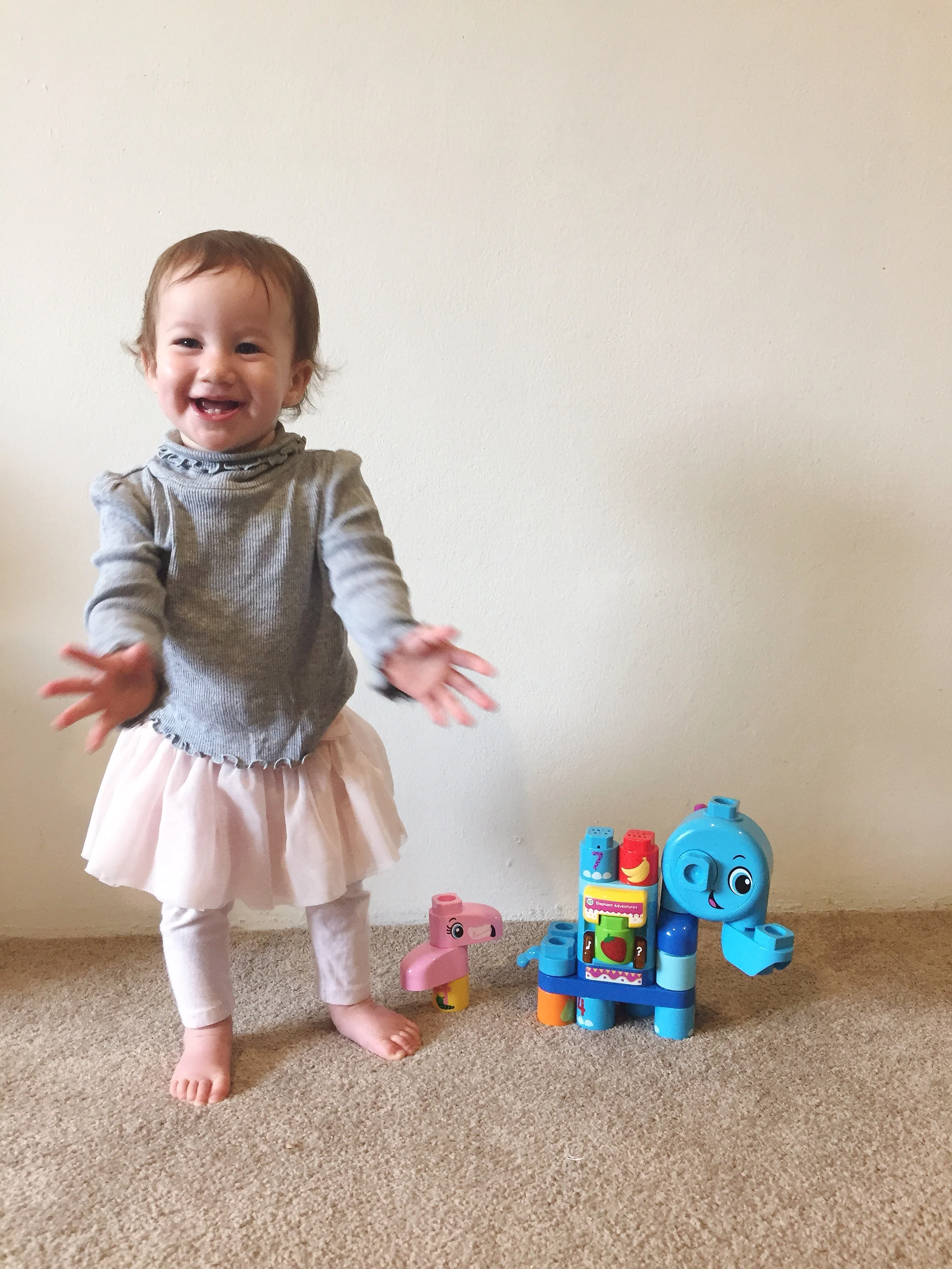 Leap Builders Elephant Adventures