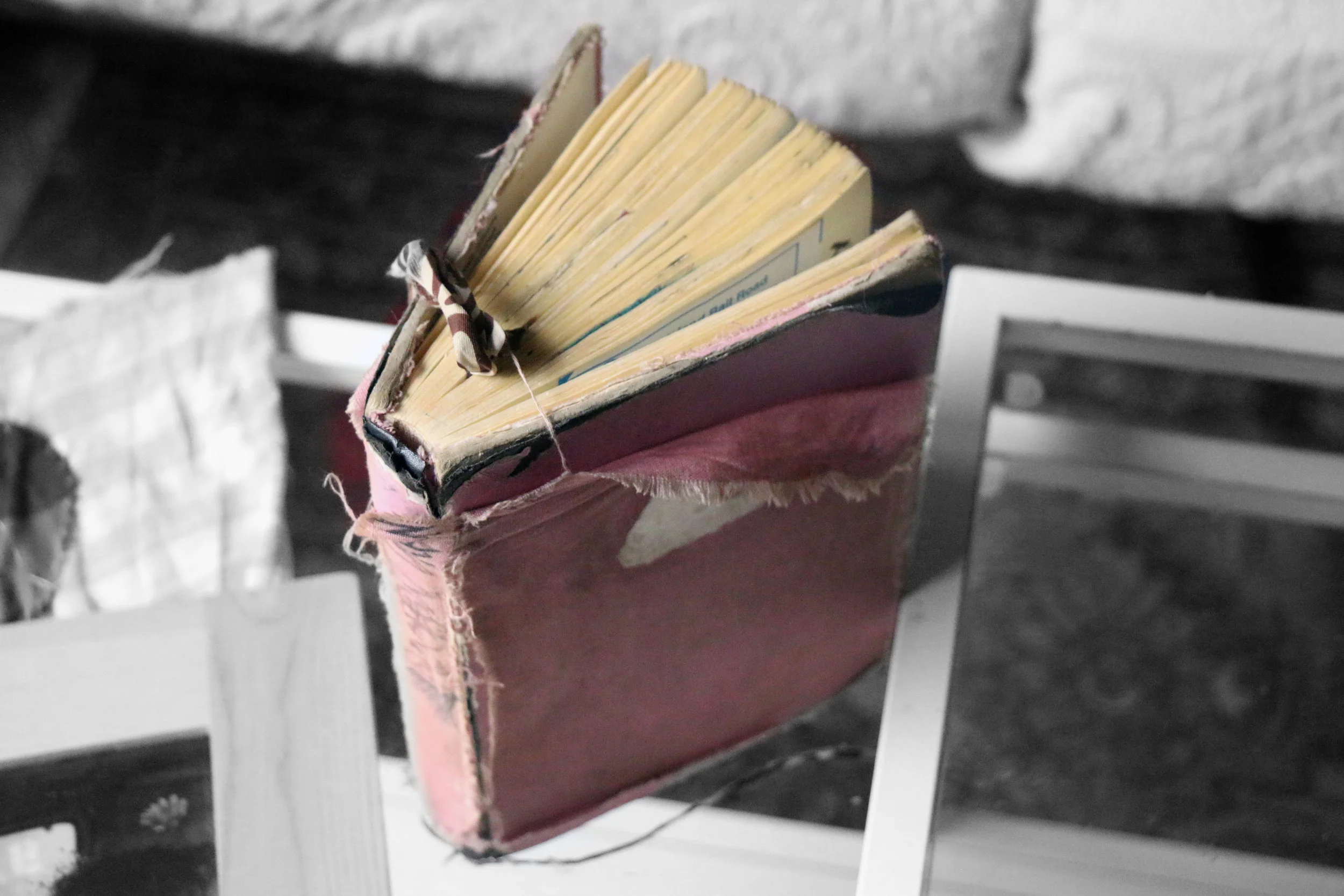 journal copy.jpg