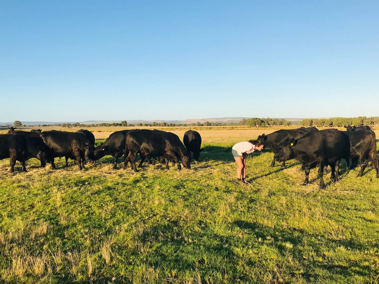 Farm 2_Pen_WEB.jpg