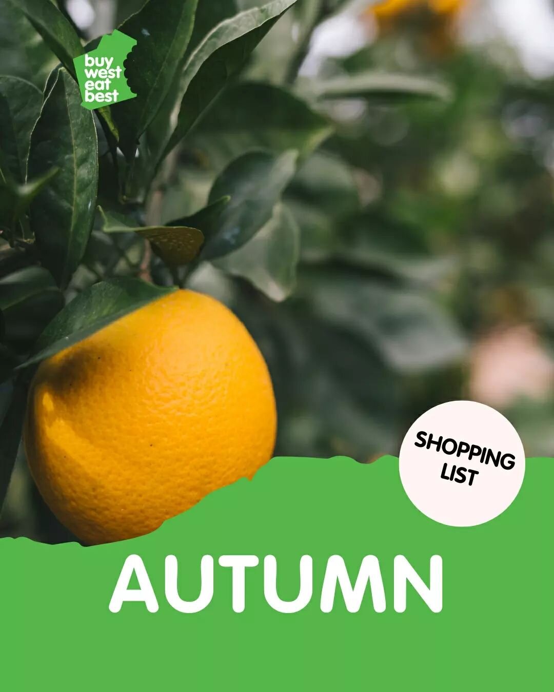 May Shopping List 

The last month of Autumn is here, otherwise known as Djeran in the Nyoongar calendar. The nights are longer and it is getting noticeably cooler in the most populated areas of Western Australia. Soon more produce will be coming fro