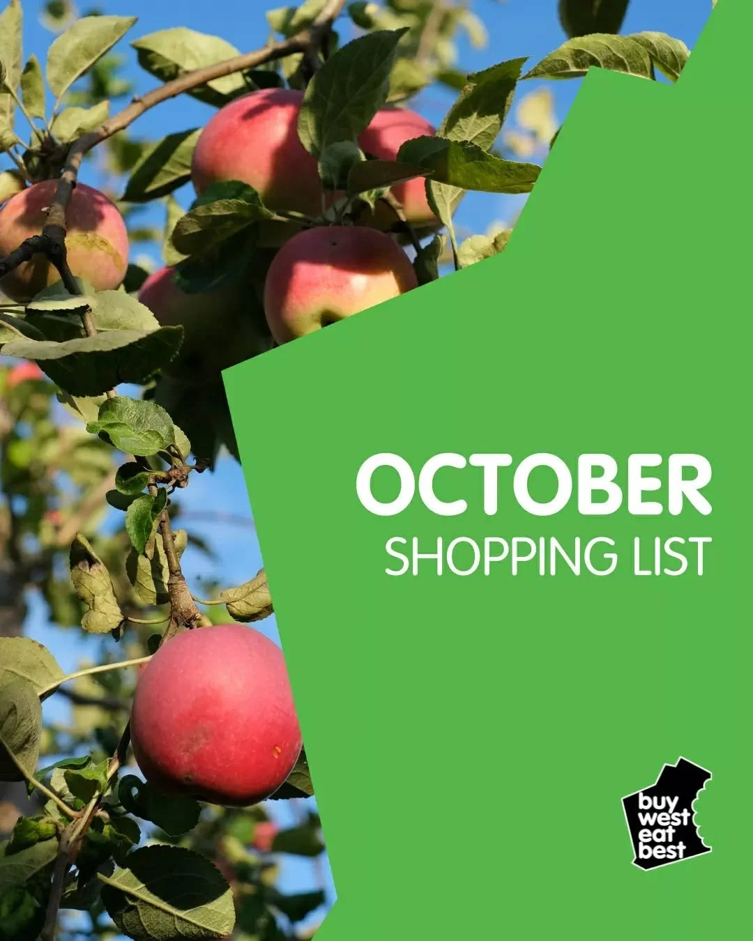 From paddock to plate, dock to dish &mdash; we&rsquo;ve been backing WA food for 17 years!

Celebrate 17 years of choosing local with us by checking out our seasonal guide, and then head to our website for recipes, member details, and inspiration. Fi