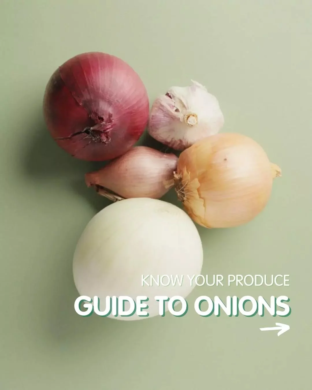 Did you know that onions are about 89 percent water, with about 9 percent carbohydrates and fibre, and a tiny amount of protein and fat?

Local growers @PataneProduceWA and @GlavocichProduce are keeping us well-stocked year-round in WA with a delicio
