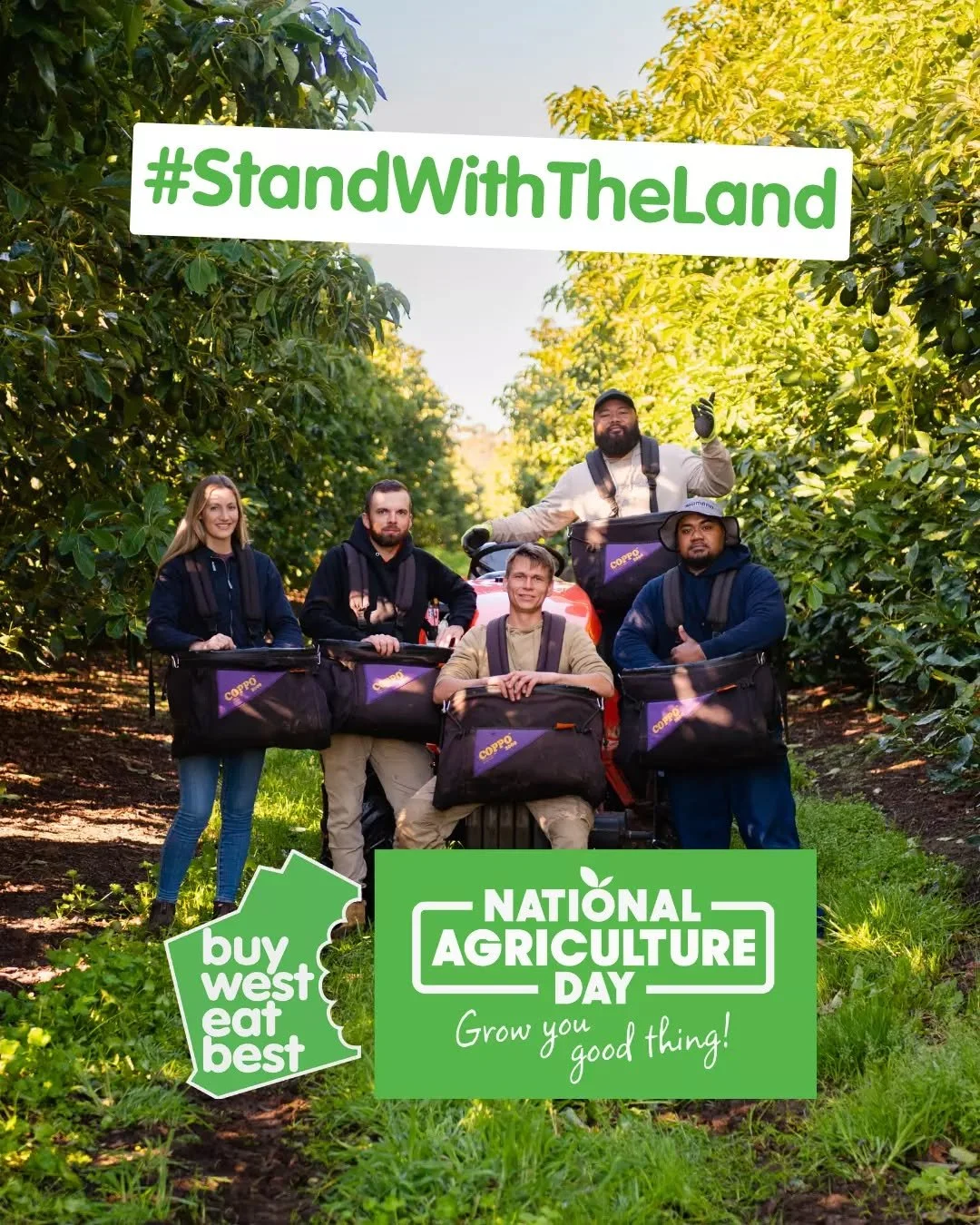 On National Ag Day, we will celebrate the unique quality of Western Australian produce. The Delroy family is incredibly proud to grow our avocados right here in Pemberton, where the rich soil and climate help us deliver a fresher, creamier product fo