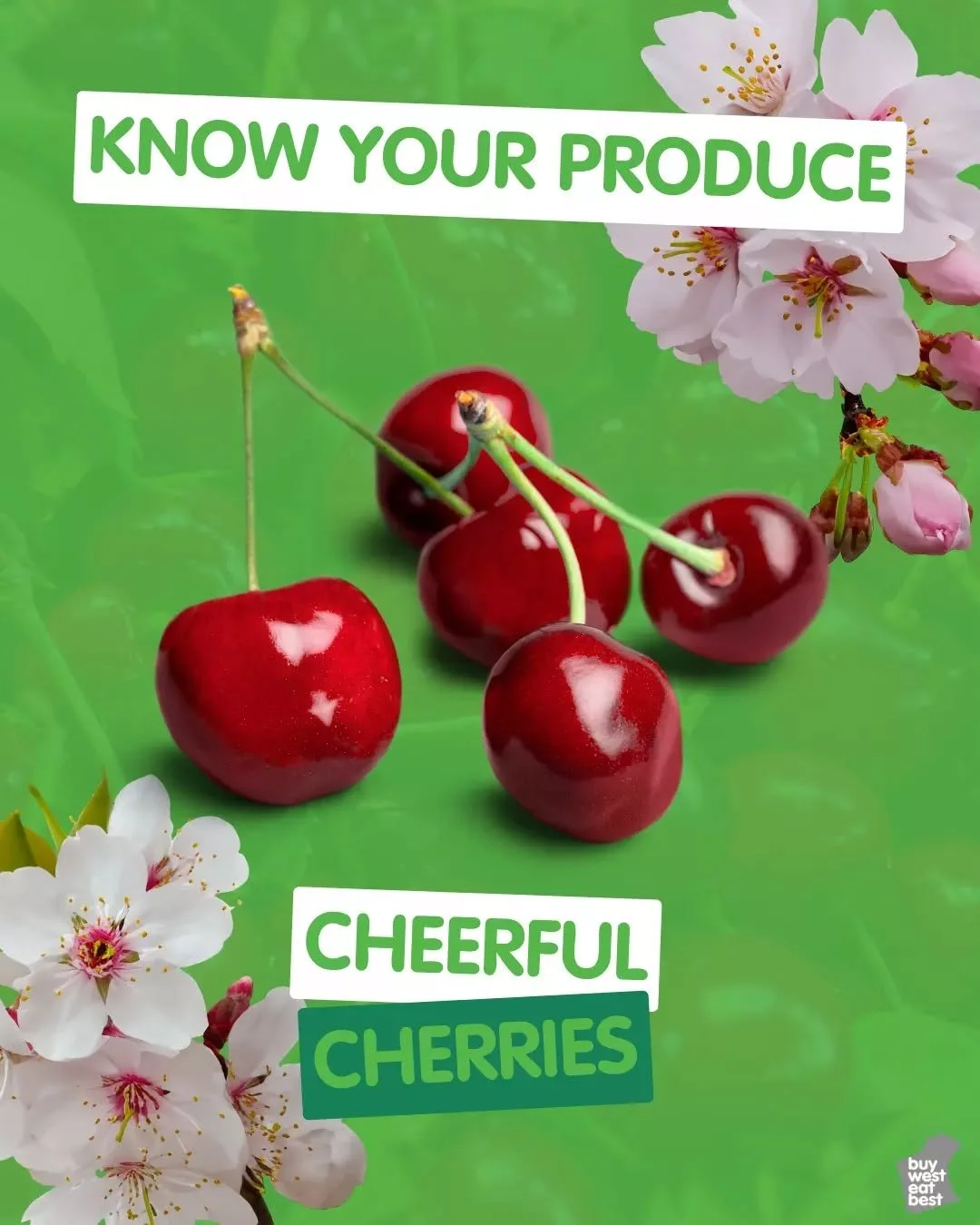 Cheers to Cherries 🍒🍒
Cherries burst onto the scene every summer like glossy jewels, their short season making them even more prized.

When those shiny orbs hit the shelves, grab them!!! While it&rsquo;s tempting to wash and simply scoff them as th