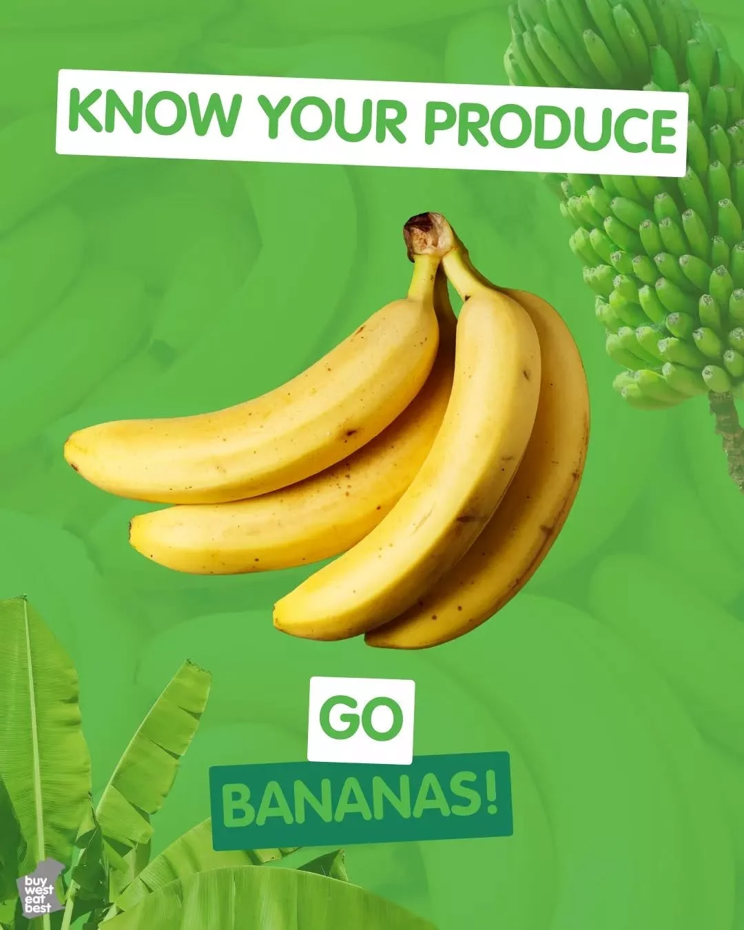 Bananas might feel like an everyday fruit, but there&rsquo;s a lot more to them than meets the eye 🍌

Grown right here in Western Australia, including regions like the Gascoyne, bananas play an important role in late summer eating. They&rsquo;re rel