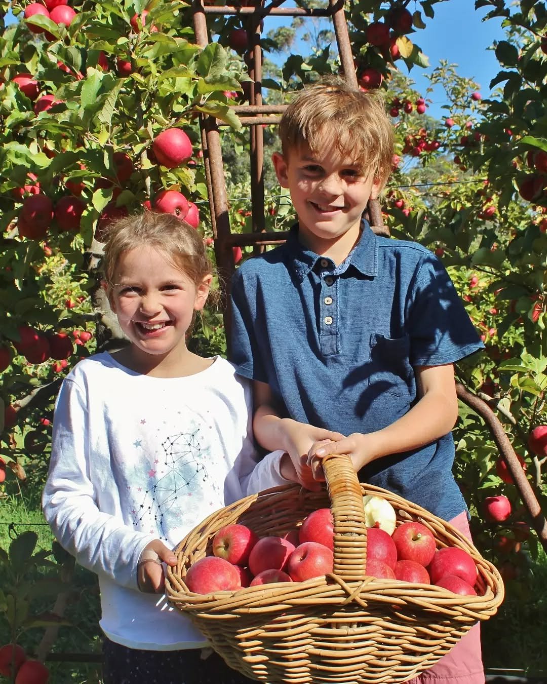 School holidays are the perfect excuse to get the kids involved in the kitchen 👩&zwj;🍳🍎

Autumn produce like apples, carrots, pumpkin and potatoes are ideal for simple baking, tray bakes or hearty soups the whole family can help prepare.

Cooking 