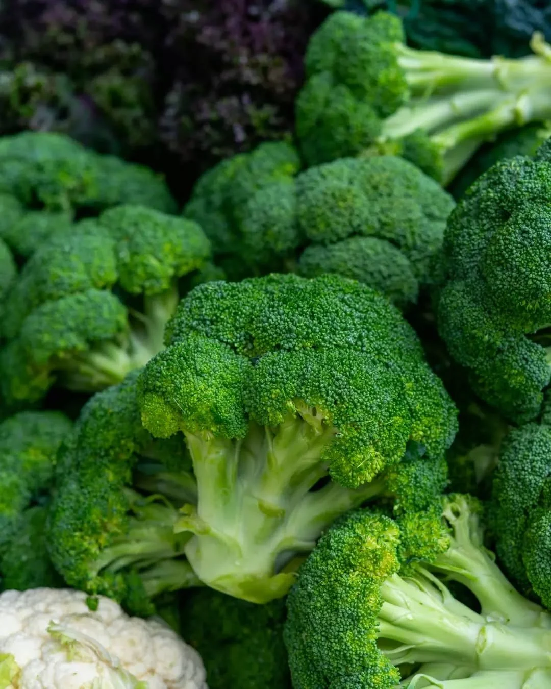 Seasonal Spotlight: Broccoli 🥦✨

Fresh, local and in peak season right now, broccoli is one of May's standout vegetables in WA.
Easy to cook, incredibly versatile and at home in everything from simple sides and stir-fries to soups, curries, tray bak
