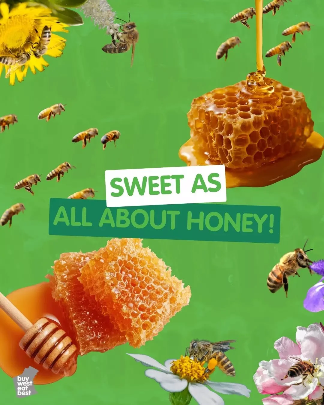 World Bee Day is a sweet reminder of just how much we owe bees 🐝🍯💚

Did you know bees fly more than 88,000km and visit around two million flowers to produce just 450g of honey? A single bee makes only a fraction of a teaspoon in its lifetime.

Our