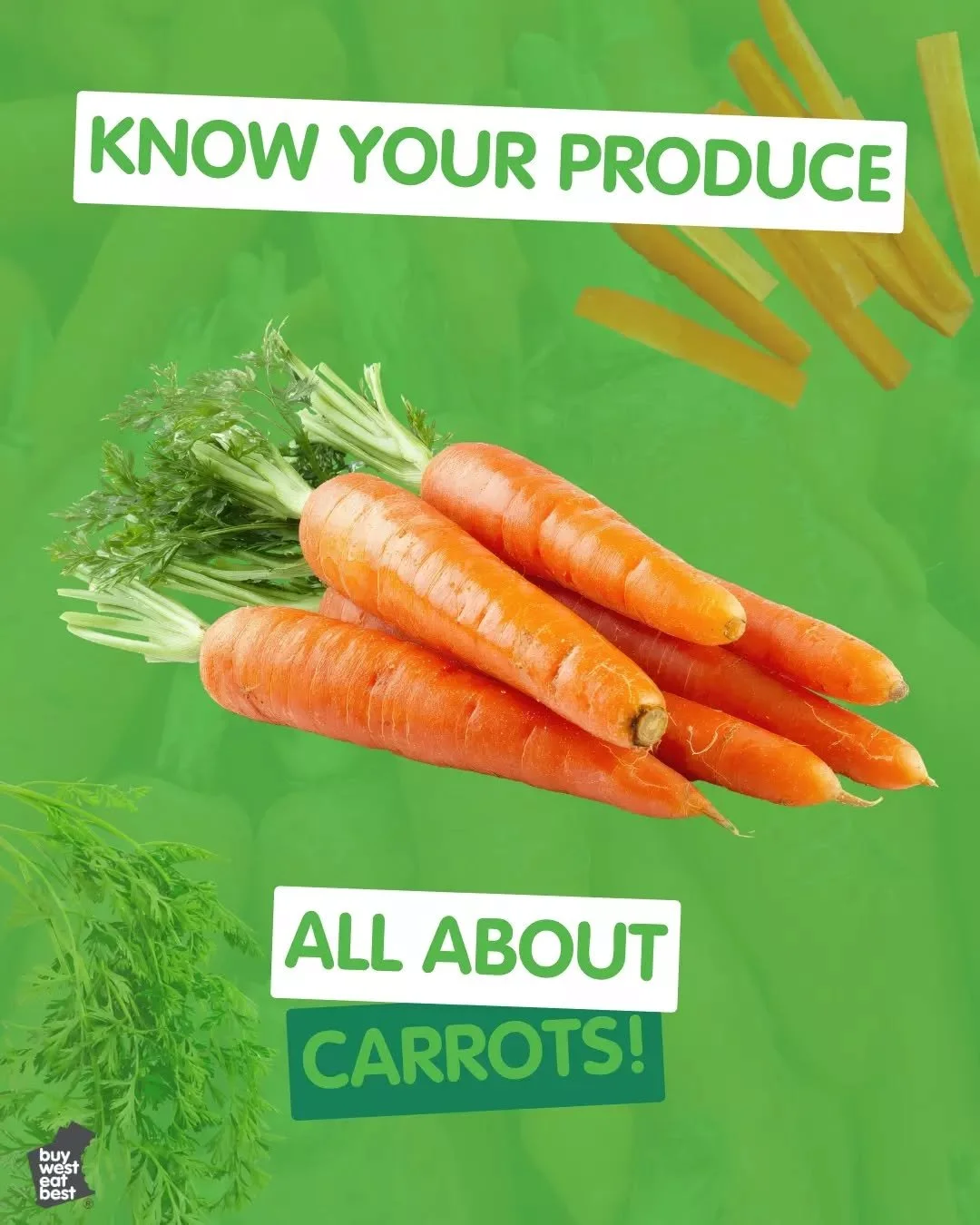 Seasonal Spotlight: Carrots 🥕✨

Fresh, local and in peak season right now, carrots are one of June&rsquo;s standout vegetables in WA.

Sweet, crunchy and incredibly versatile, they&rsquo;re at home in everything from lunchboxes and winter salads to 